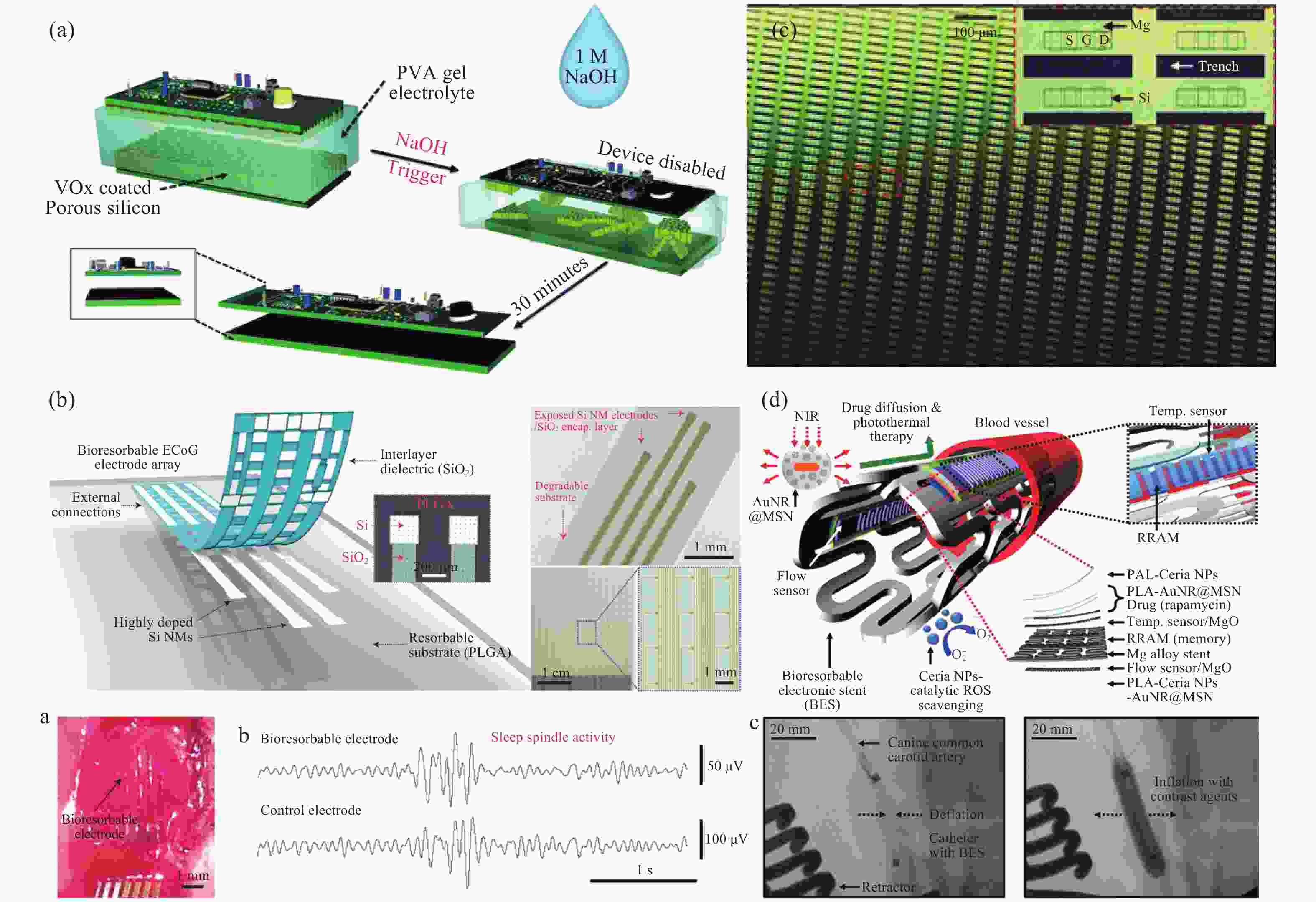 Materials and applications of bioresorbable electronics