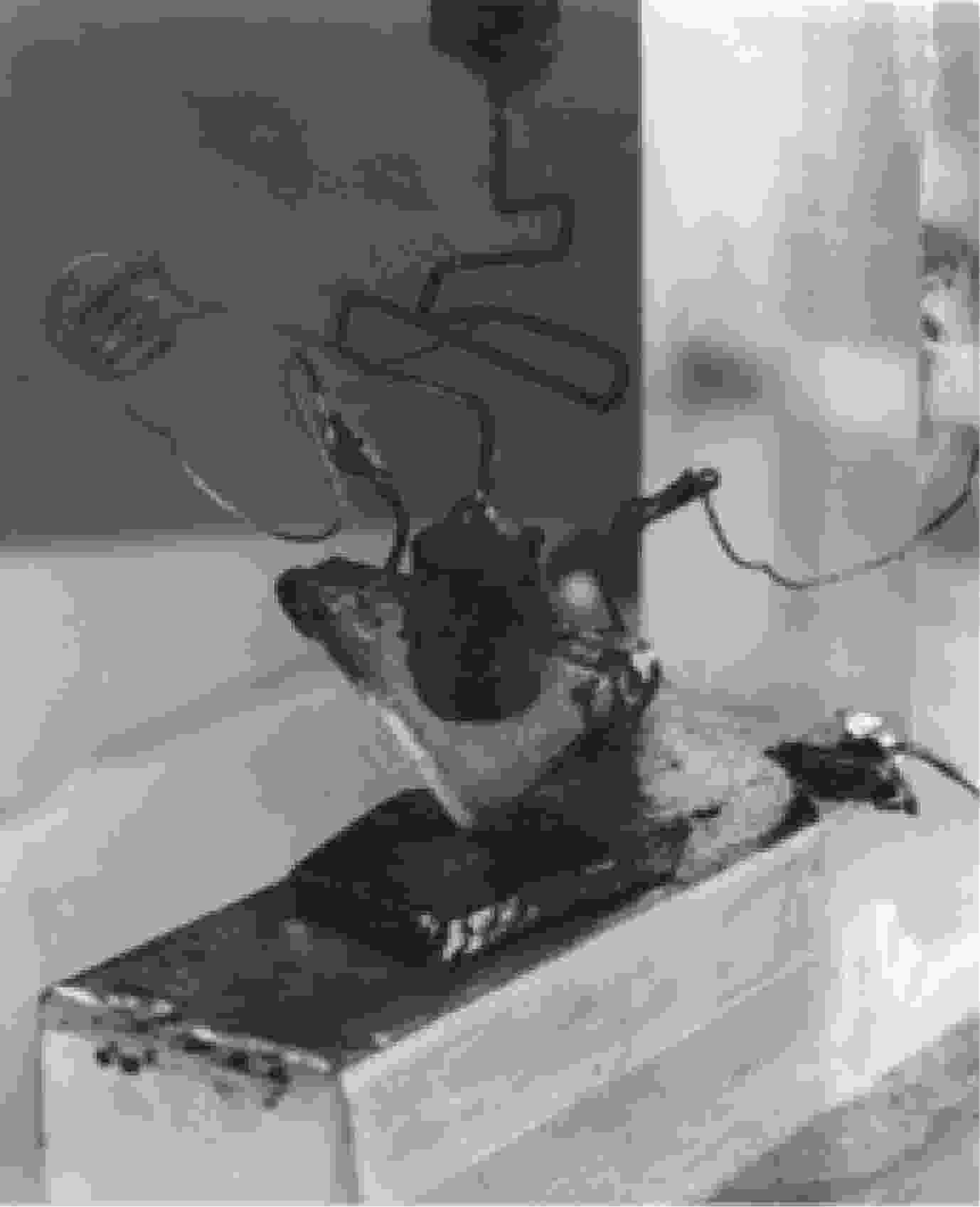 Remembering John Bardeen inventor of transistor