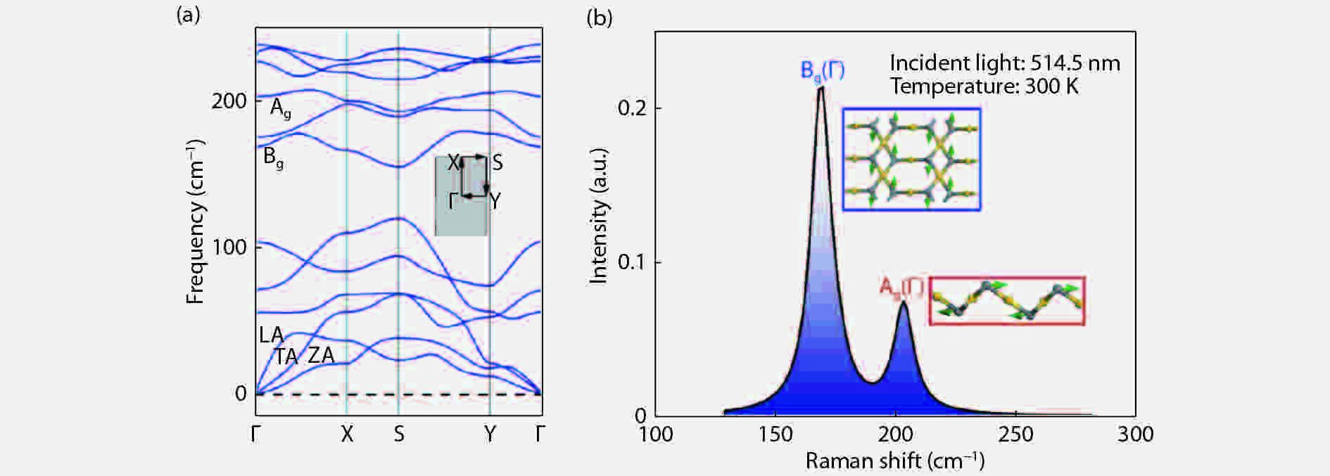 Electronic band structures and optical properties of atomically thin
