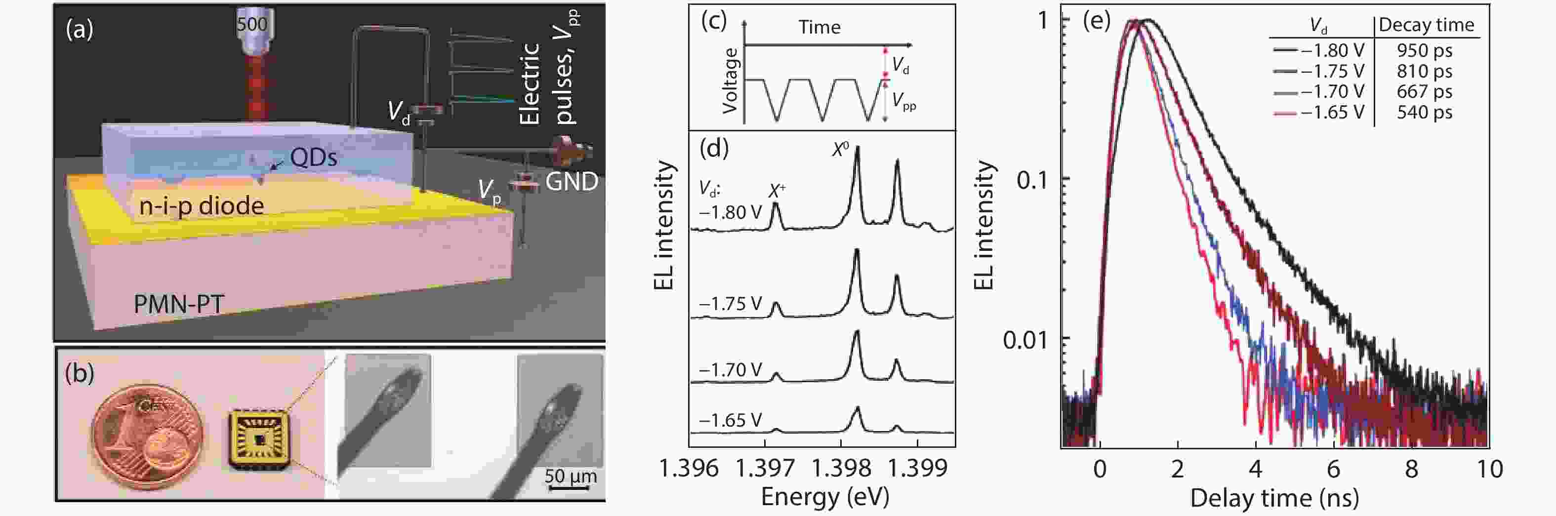 Strain tunable quantum dot based nonclassical photon sources