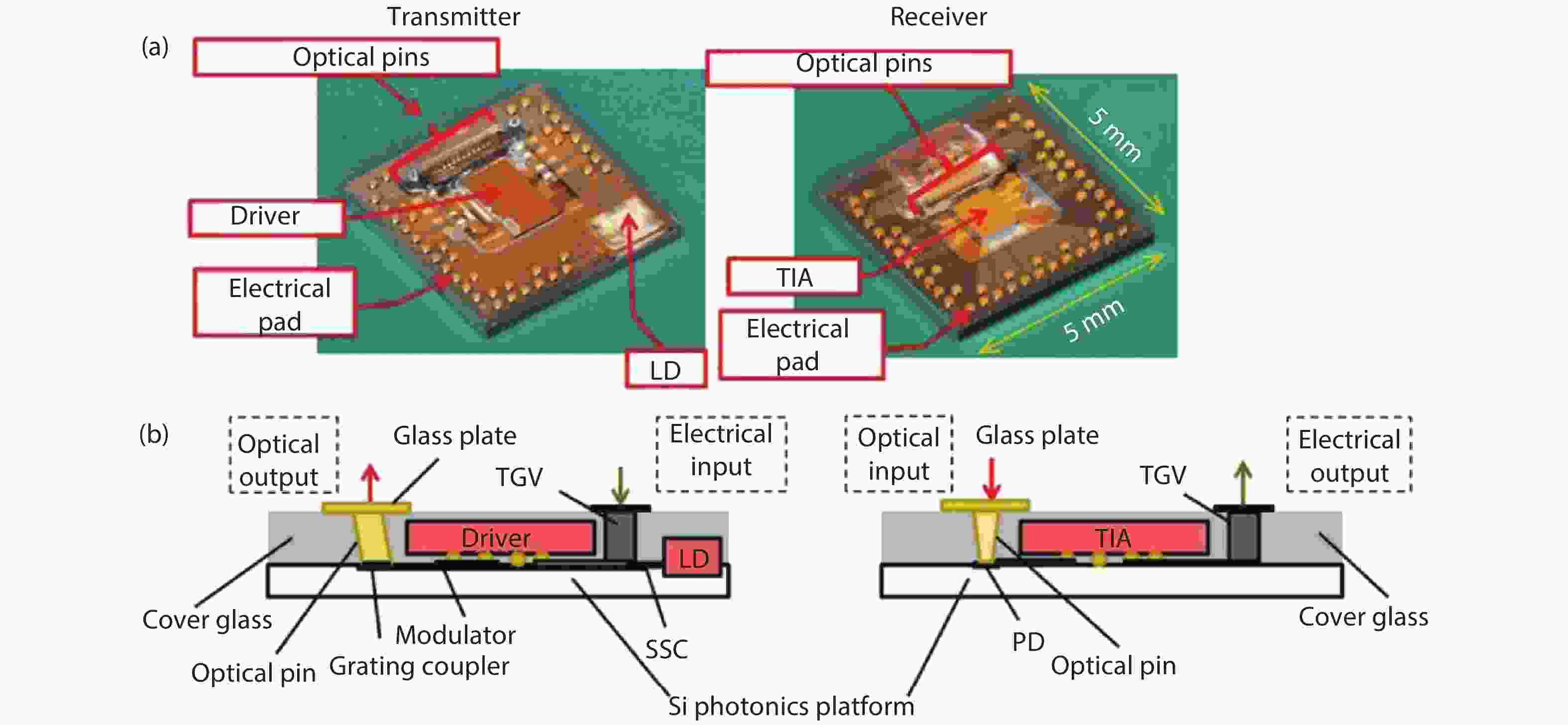 Silicon photonic transceivers for application in data centers