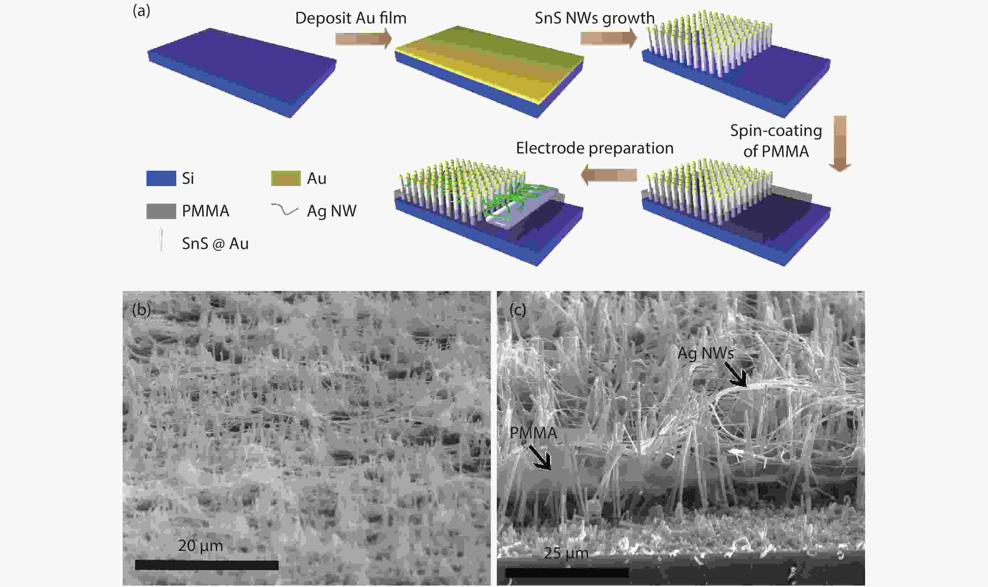 Growth of aligned SnS nanowire arrays for near infrared photodetectors