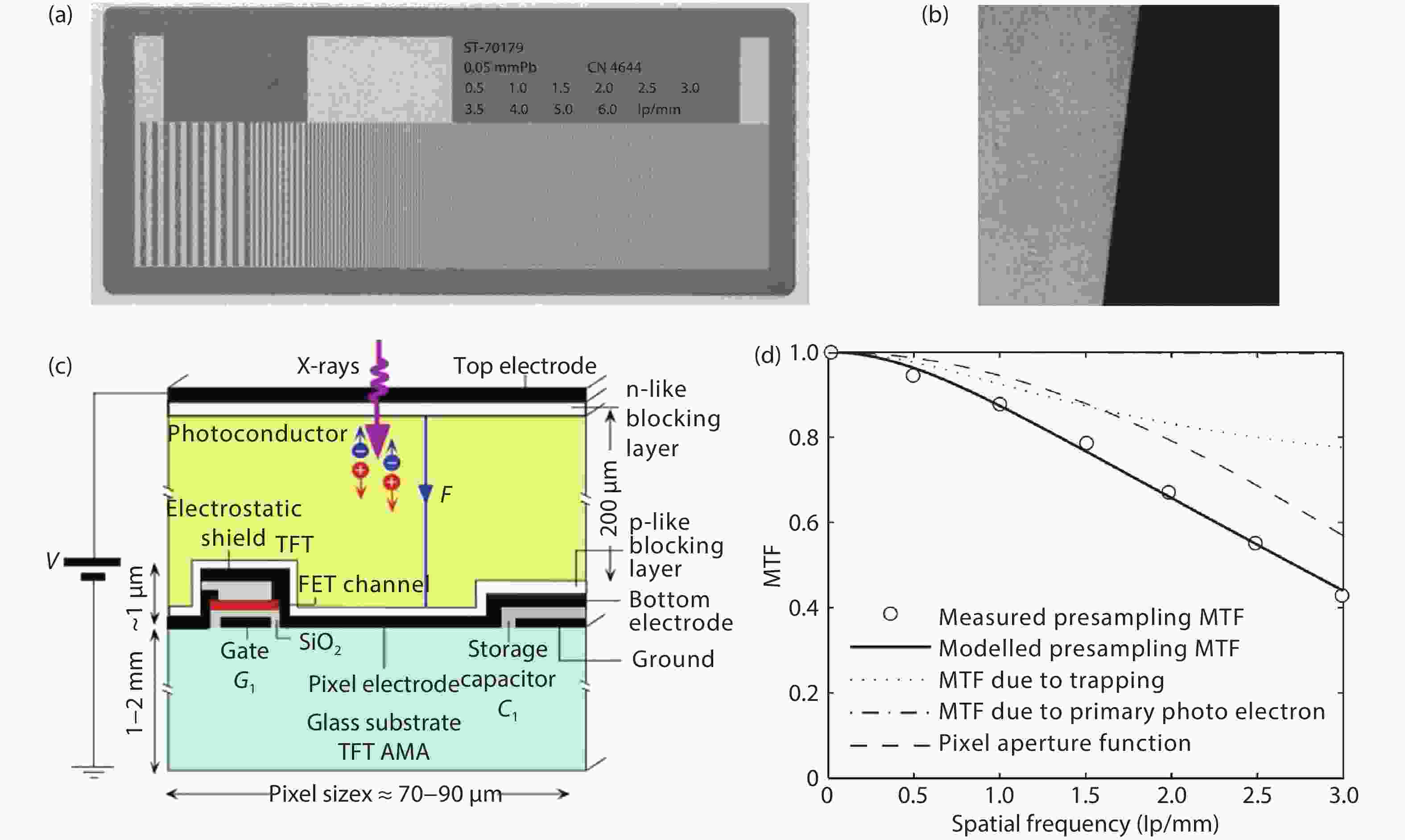 Perovskite semiconductors for direct Xray detection and imaging