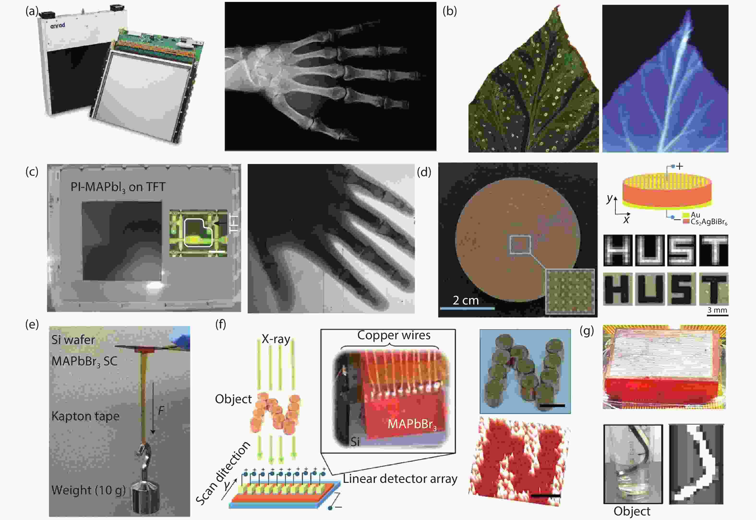 Perovskite semiconductors for direct Xray detection and imaging