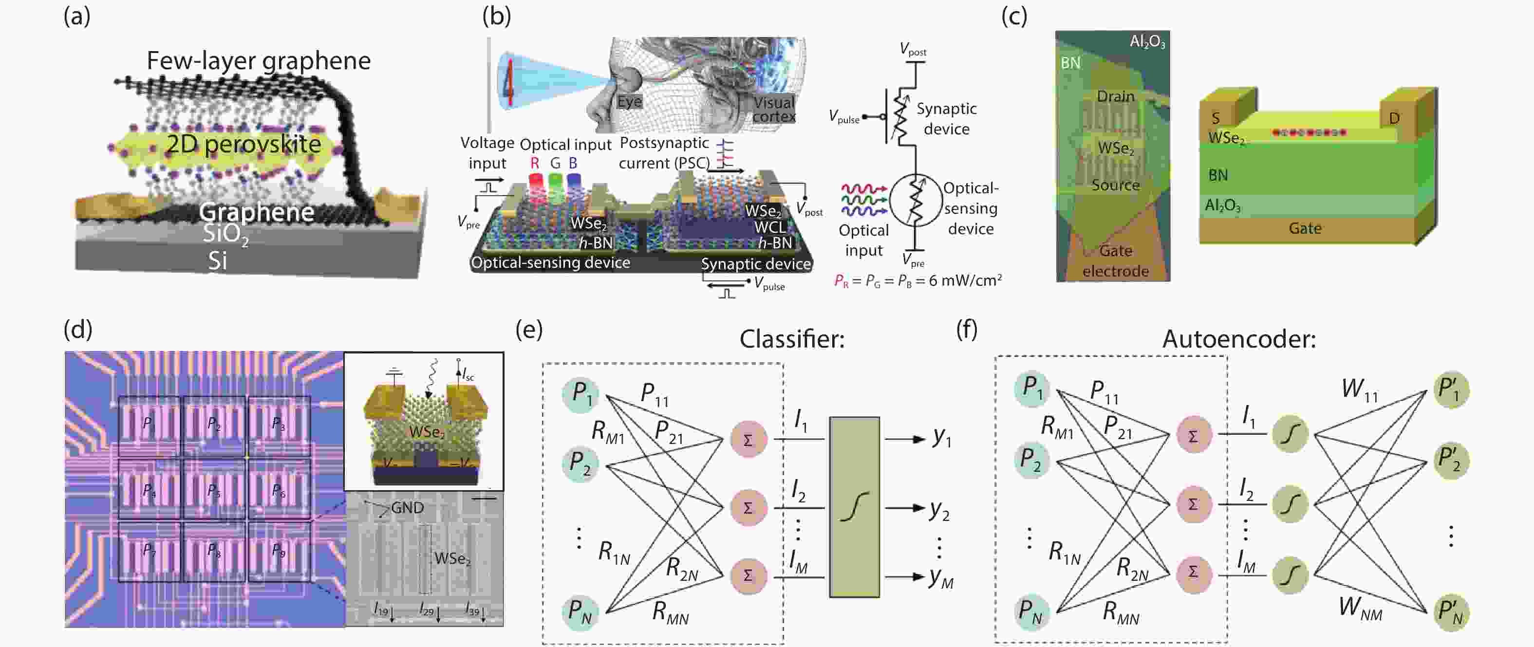 Neuromorphic vision sensors Principle, progress and perspectives