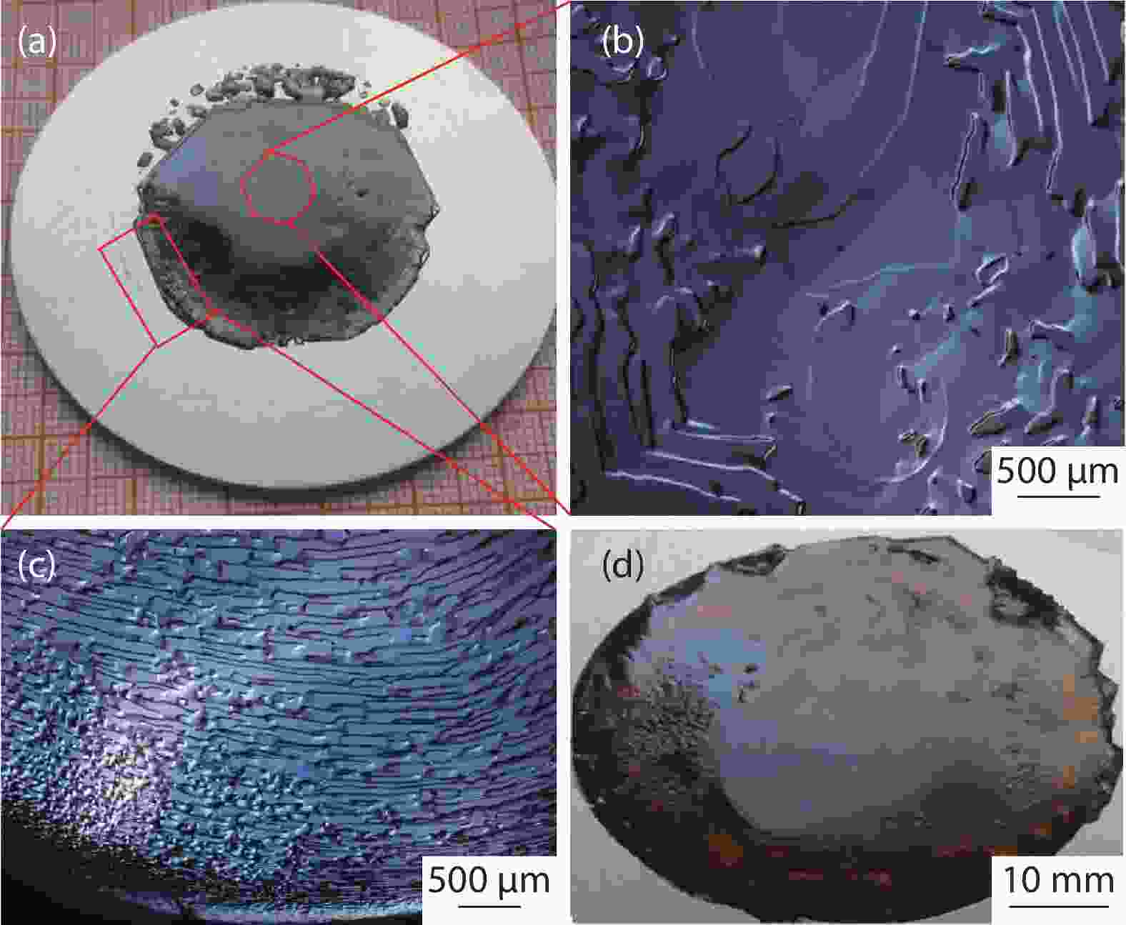 Morphology and crystalline property of an AlN single crystal grown on ...