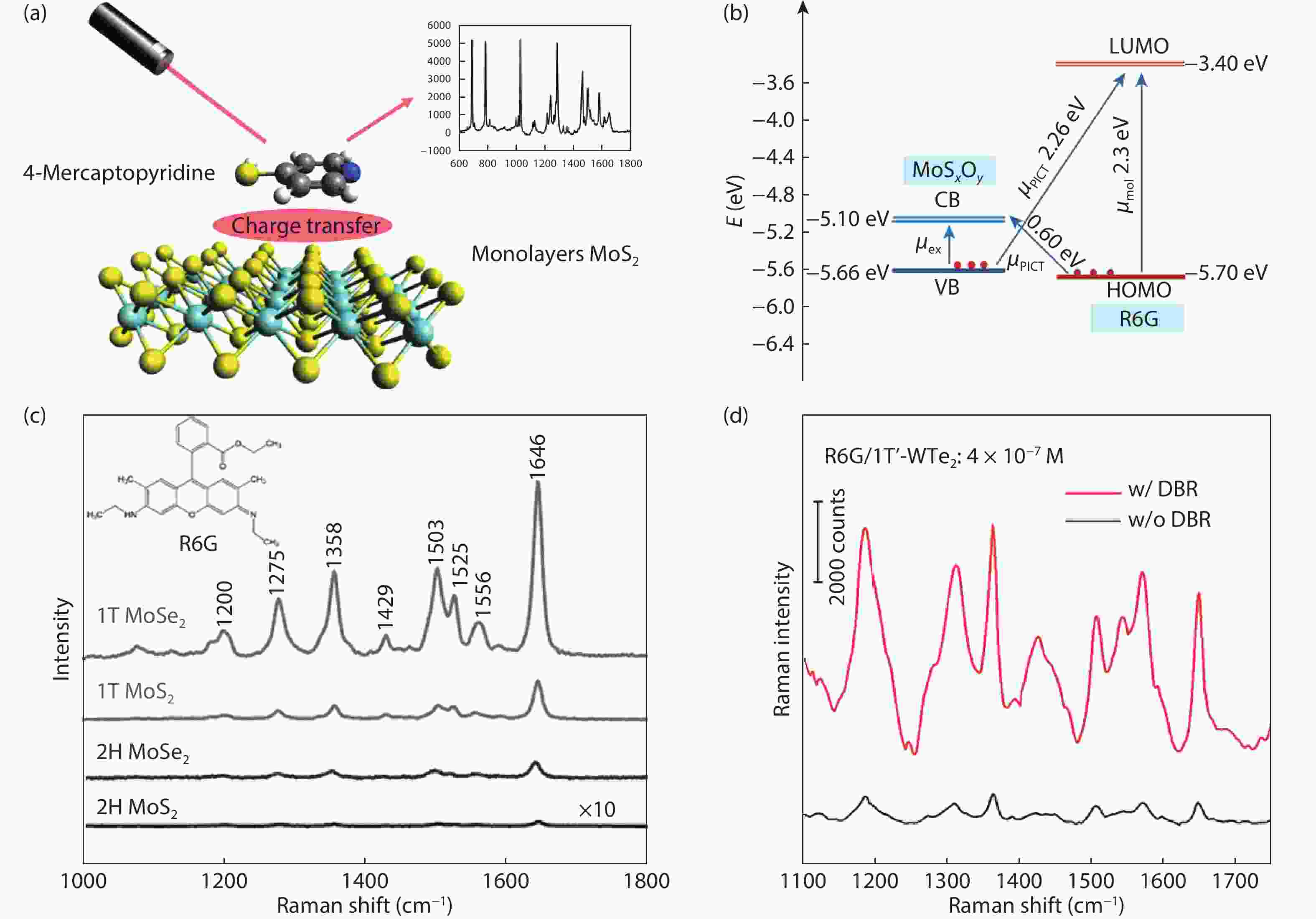 Surfaceenhanced Raman spectroscopy chips based on twodimensional materials beyond graphene
