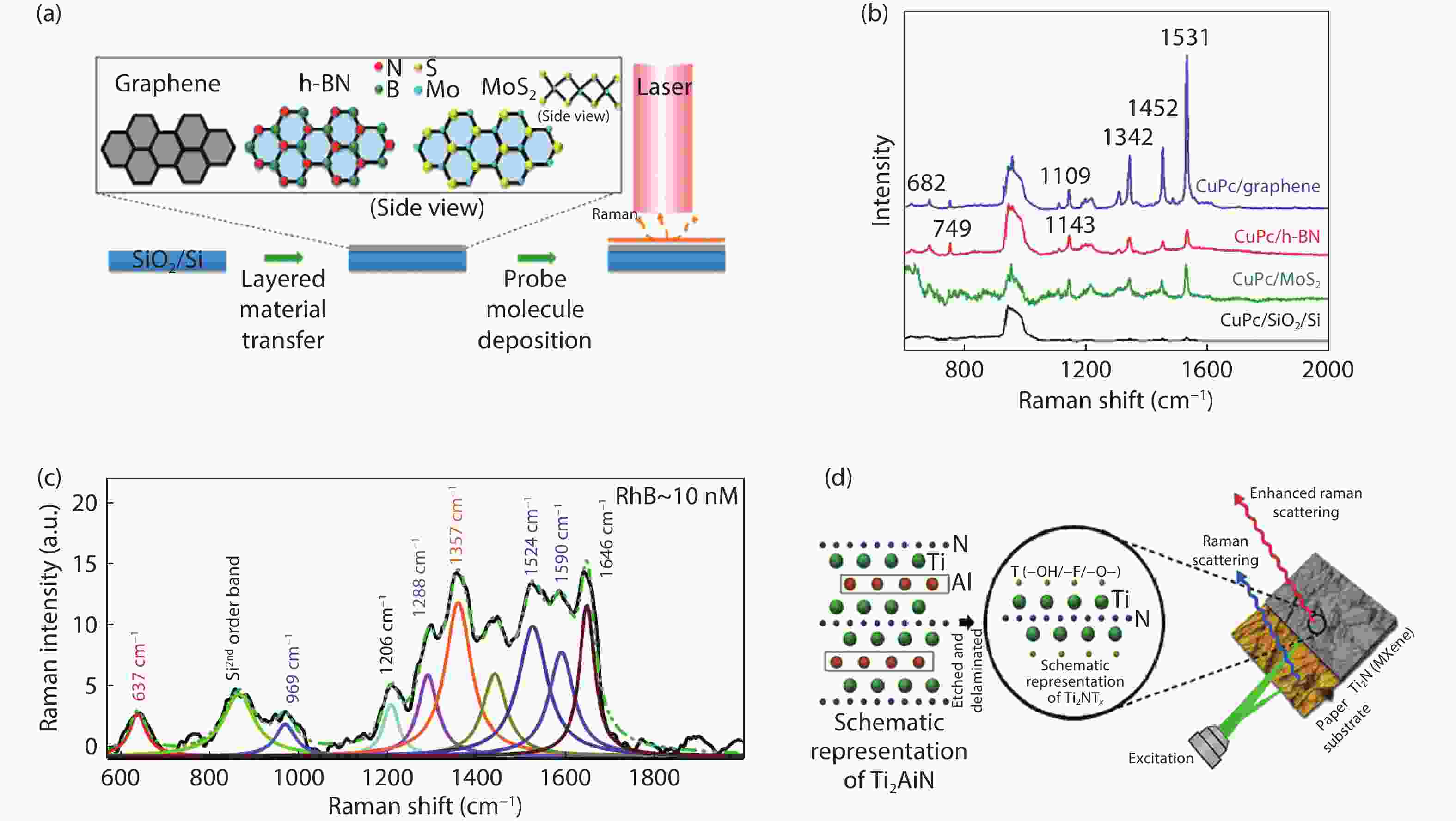Surfaceenhanced Raman spectroscopy chips based on twodimensional