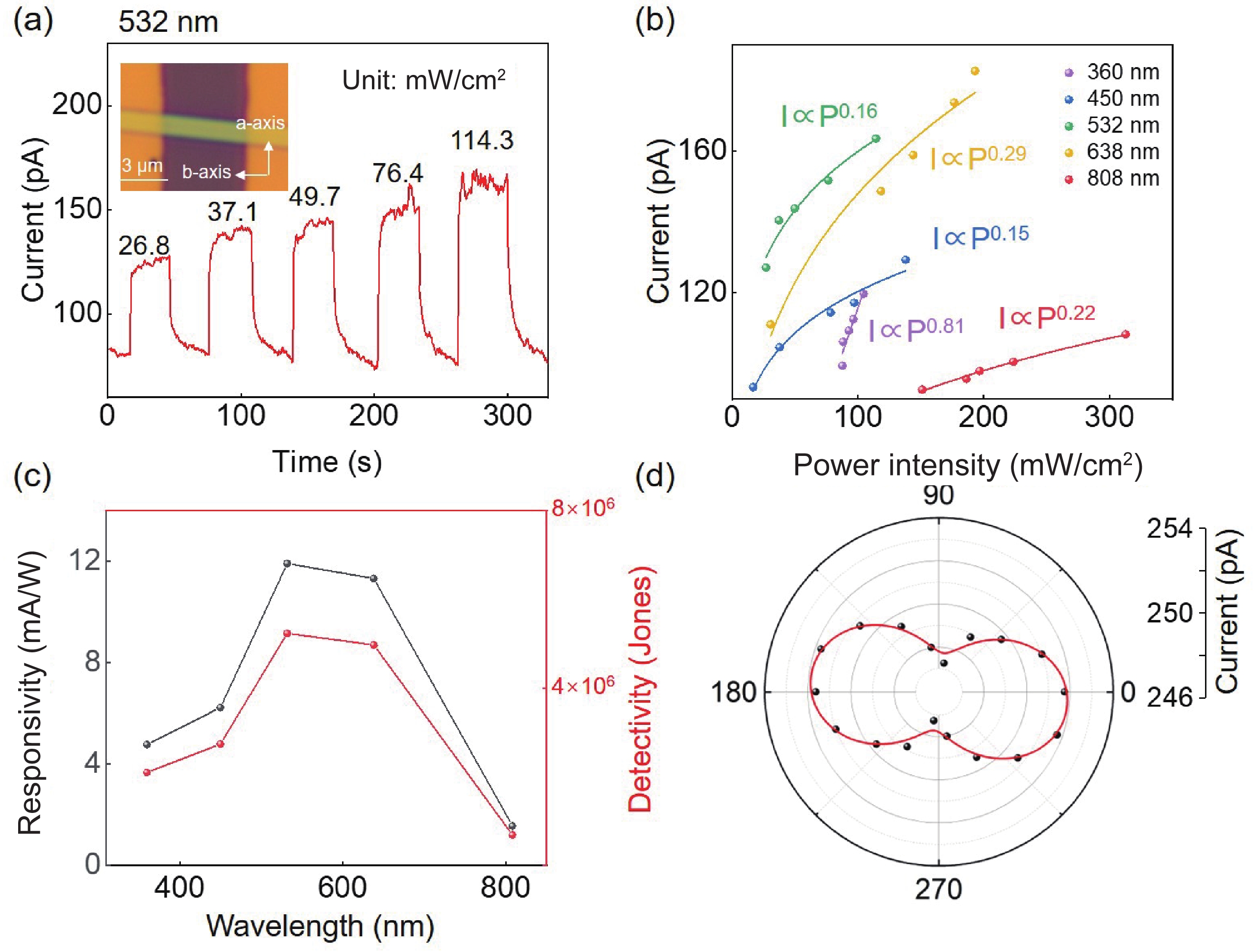 Optoelectronic Artificial Synapses Based on Two-Dimensional  Transitional-Metal Trichalcogenide