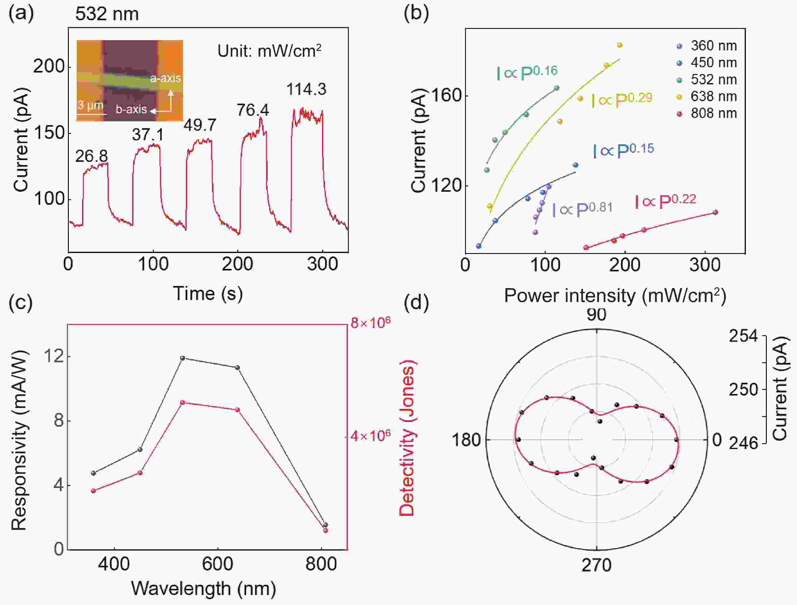 Polarization sensitive photodetector based on quasi1D ZrSe 3