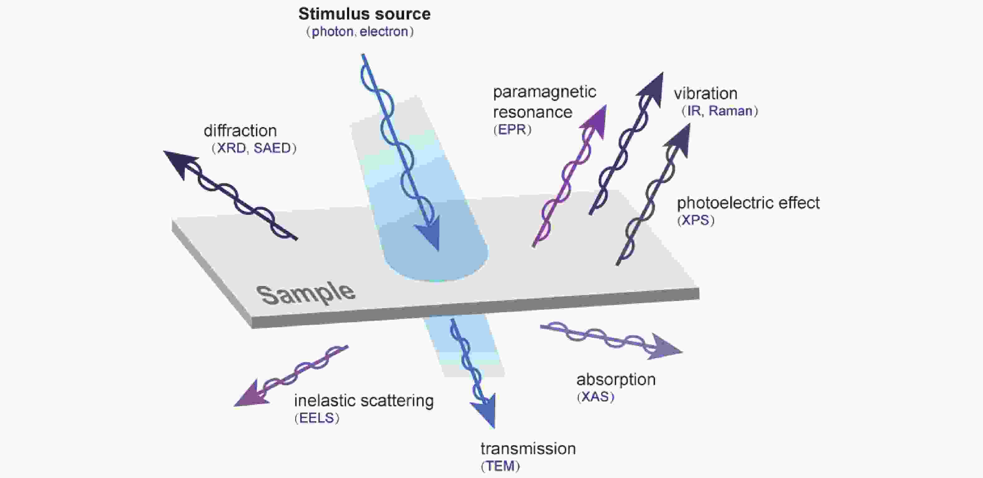 Insitu monitoring of dynamic behavior of catalyst materials and