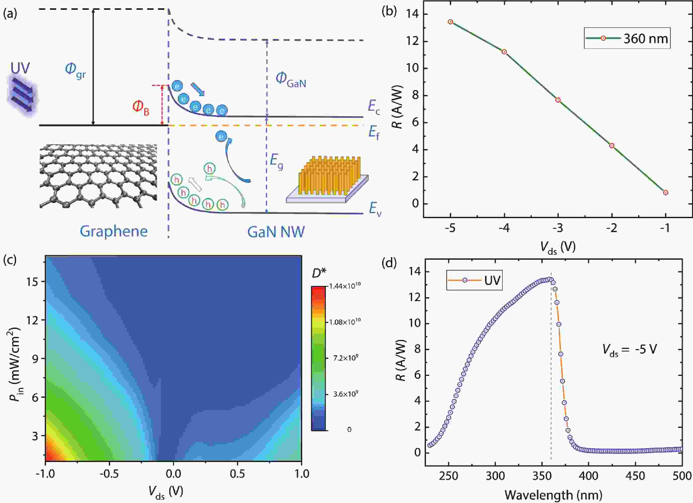 Vertical Schottky ultraviolet photodetector based on graphene and top