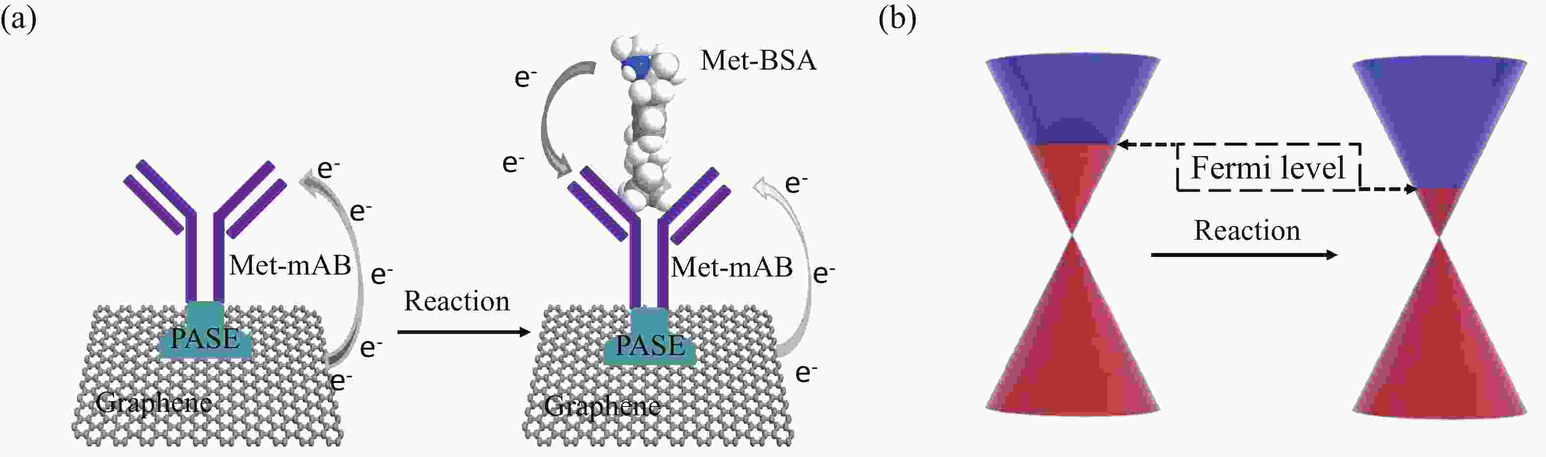 Ultrasensitive Detection Of Methamphetamine By Antibody modified Transistor Assay