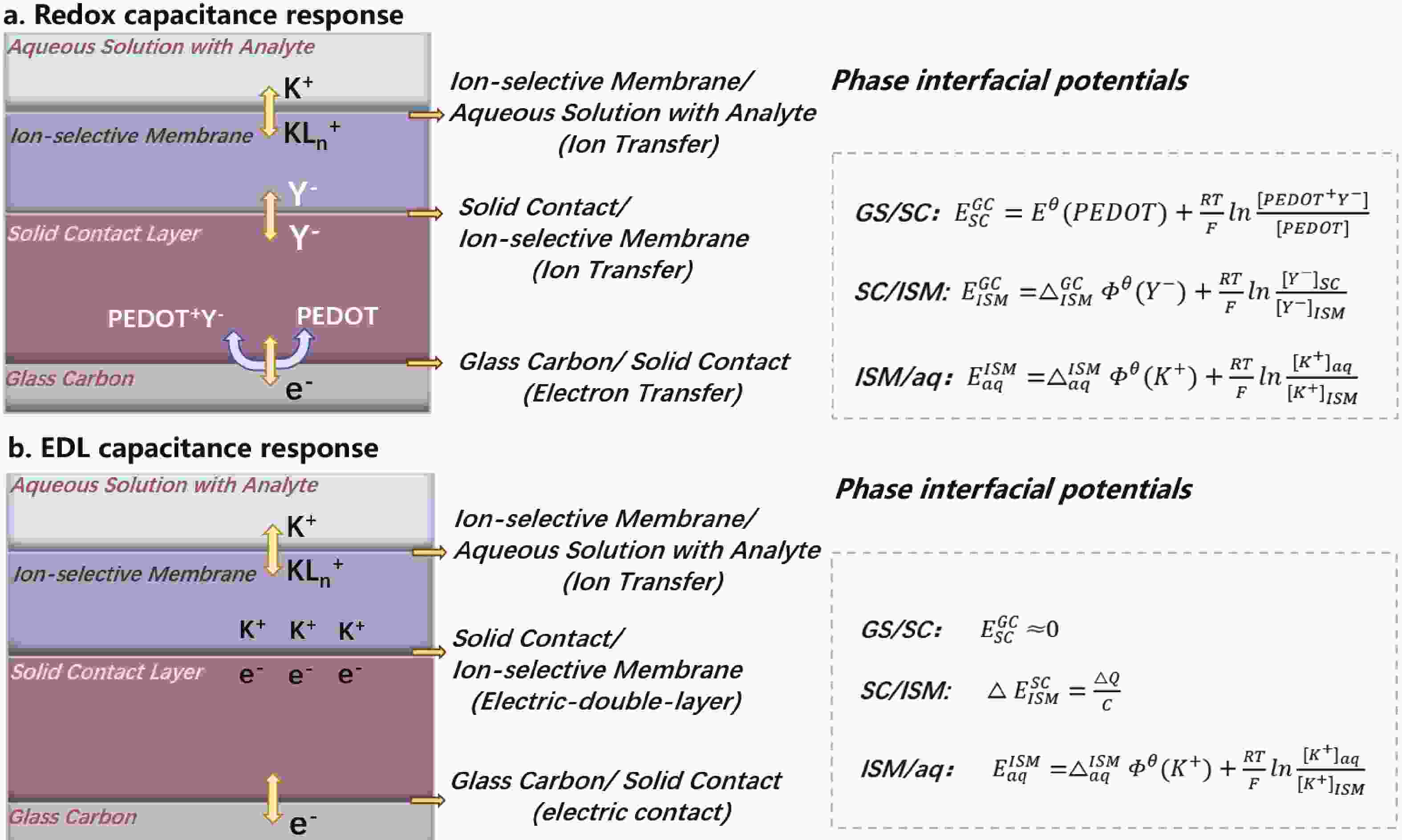 wearable-sweat-biosensors-on-textiles-for-health-monitoring