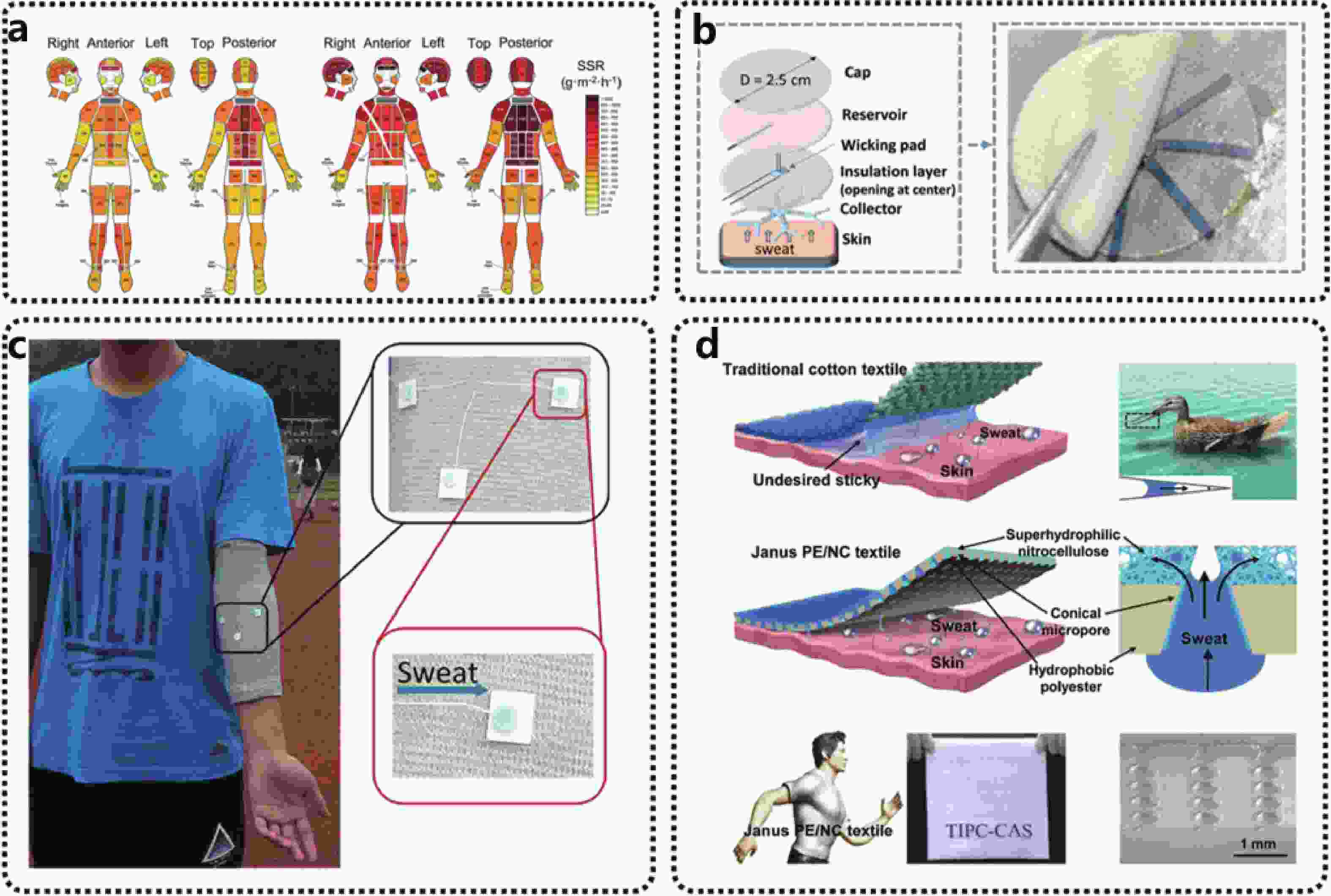 wearable-sweat-biosensors-on-textiles-for-health-monitoring