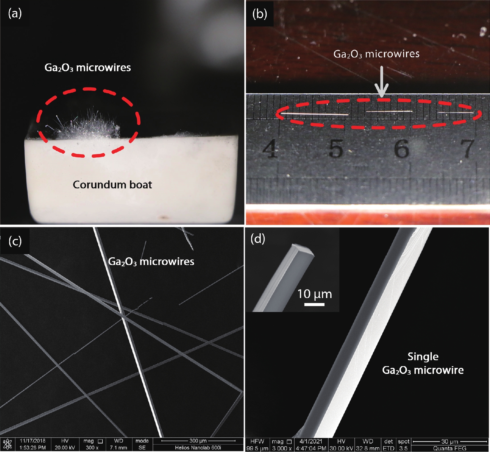 In-sensor reservoir computing system for latent fingerprint