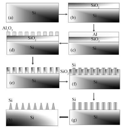 Enhanced light trapping in periodically truncated cone silicon nanowire ...