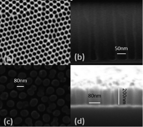 Enhanced light trapping in periodically truncated cone silicon nanowire ...