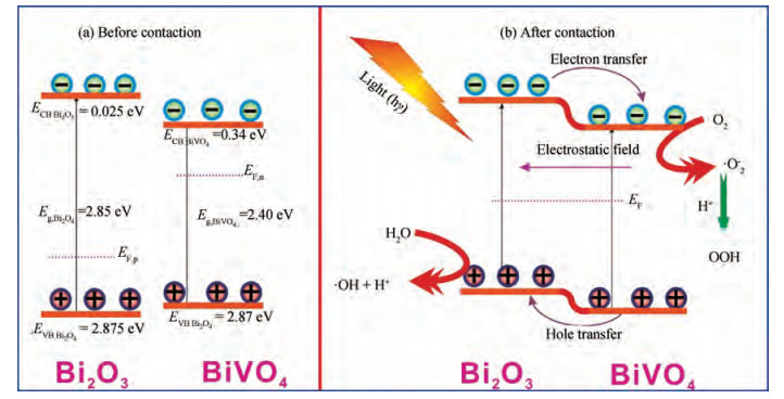 Solvothermal synthesis of Bi 2 O 3 /BiVO 4 heterojunction with enhanced ...