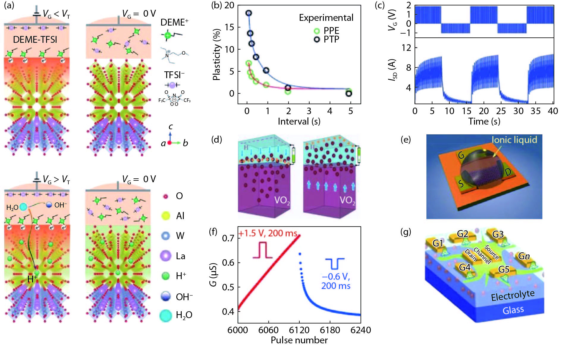 Electrolyte-gated transistors for neuromorphic applications