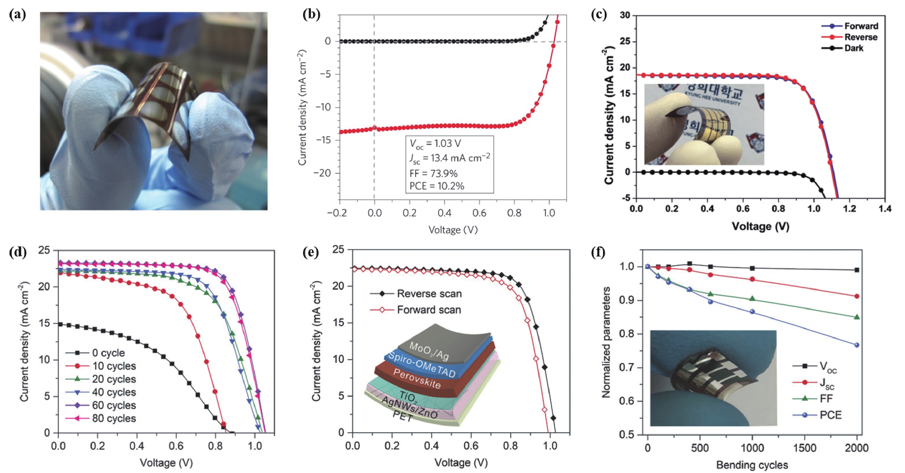Progress in flexible perovskite solar cells with improved efficiency