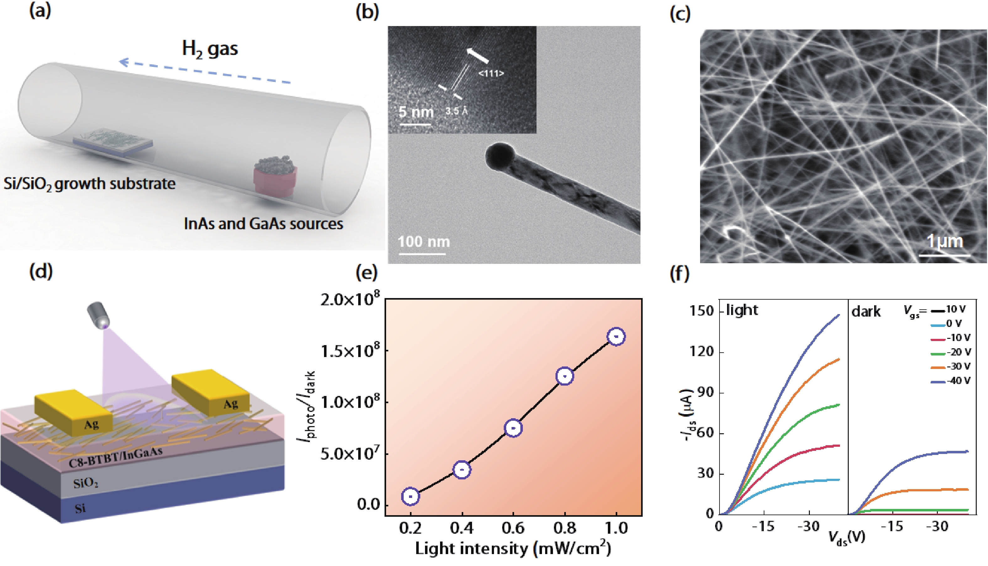 Hybrid C8-BTBT/InGaAs nanowire heterojunction for artificial ...