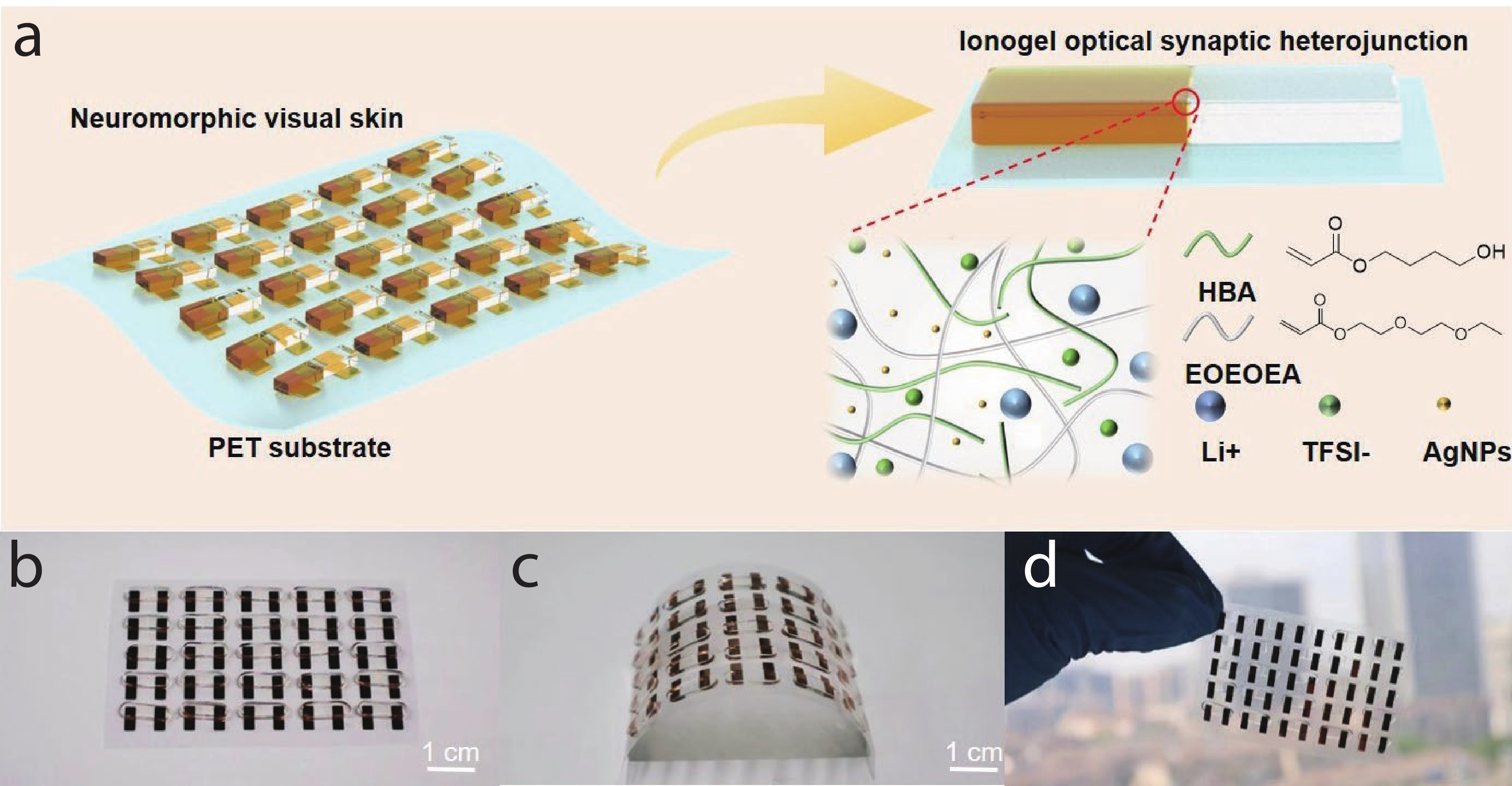 Artificial self-powered and self-healable neuromorphic vision skin ...