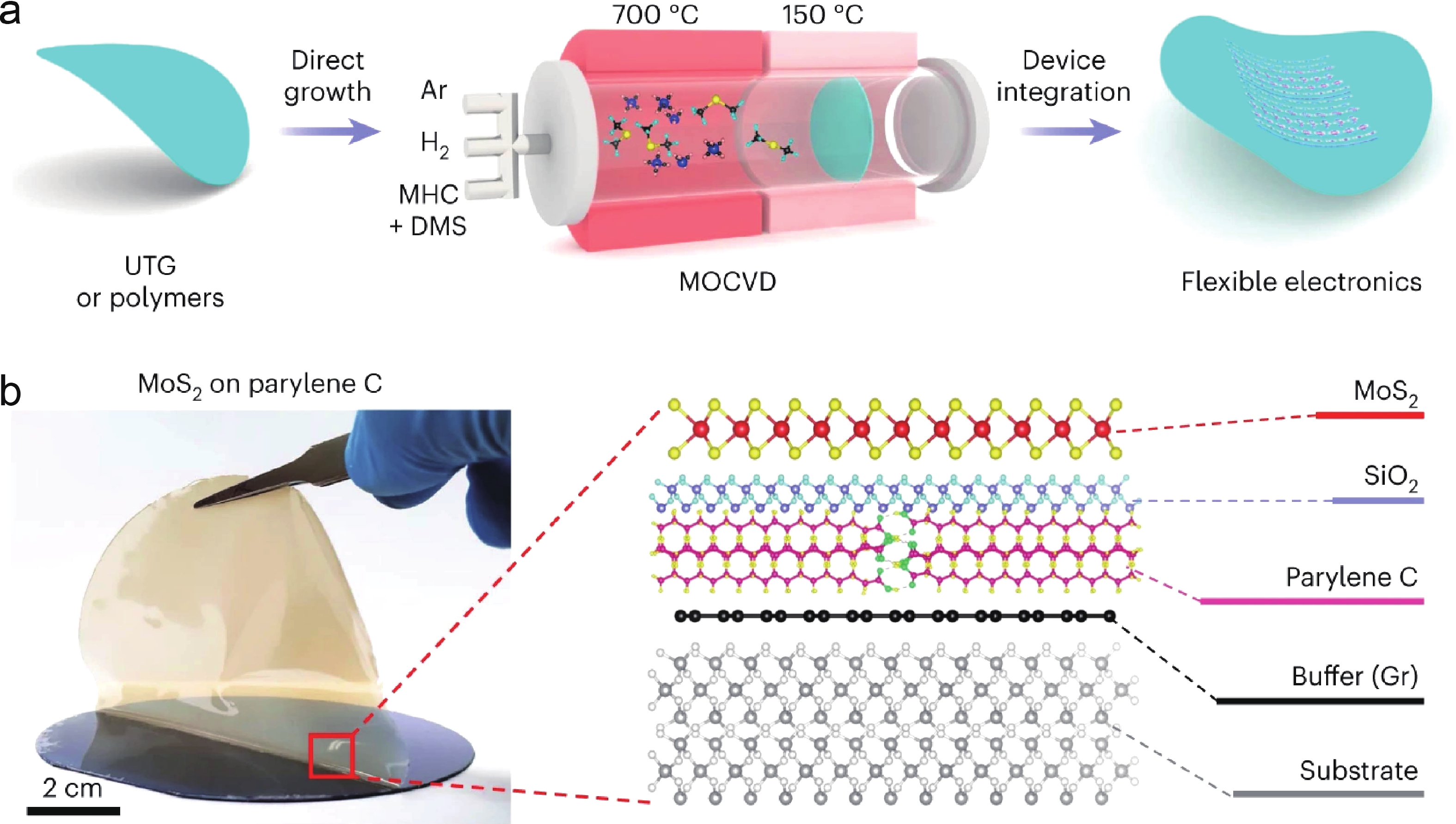 Design strategies and insights of flexible infrared optoelectronic sensors