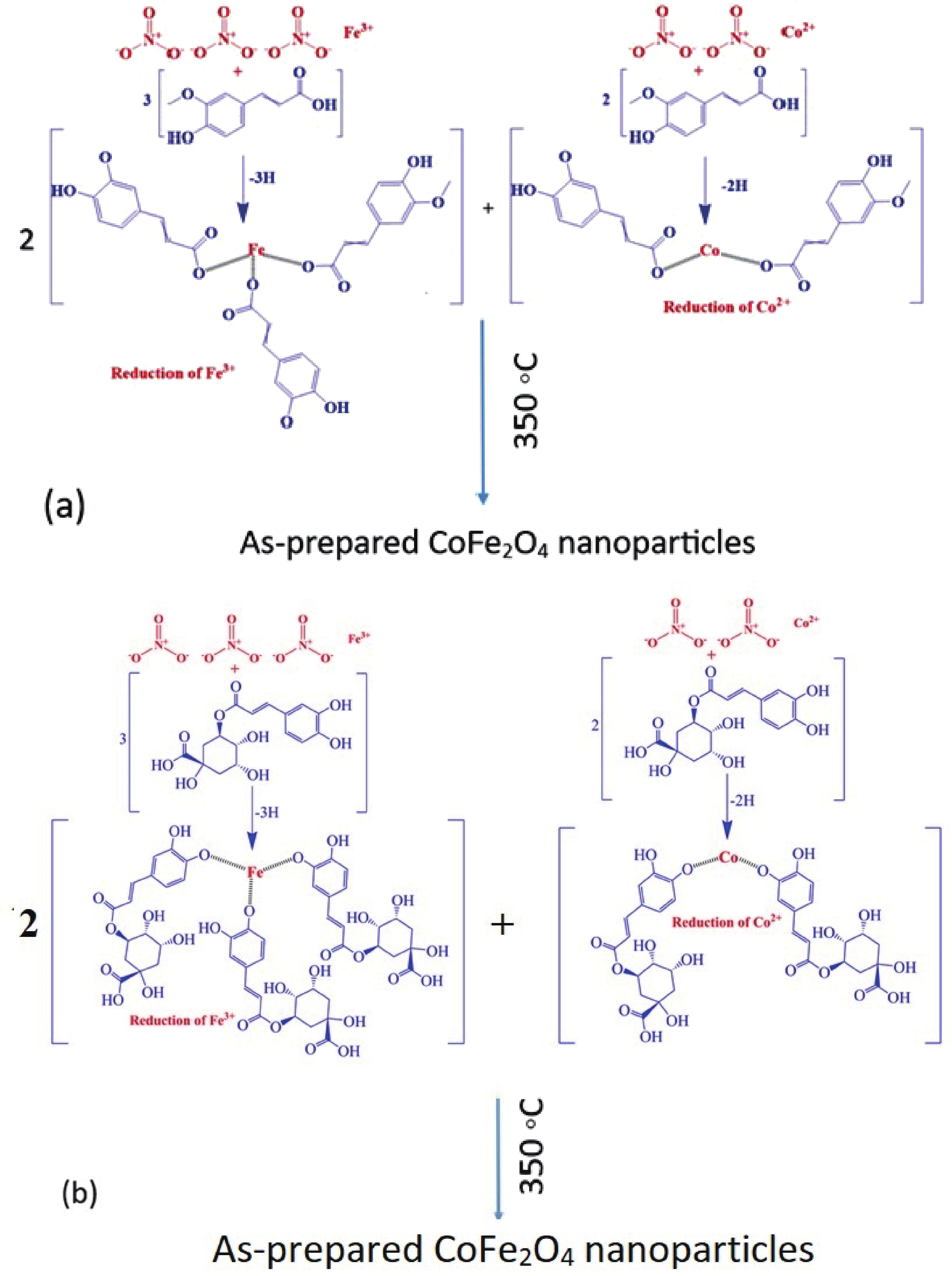 Eco-sustainable biosynthesis of CoFe 2 O 4 nanoparticles using apple ...