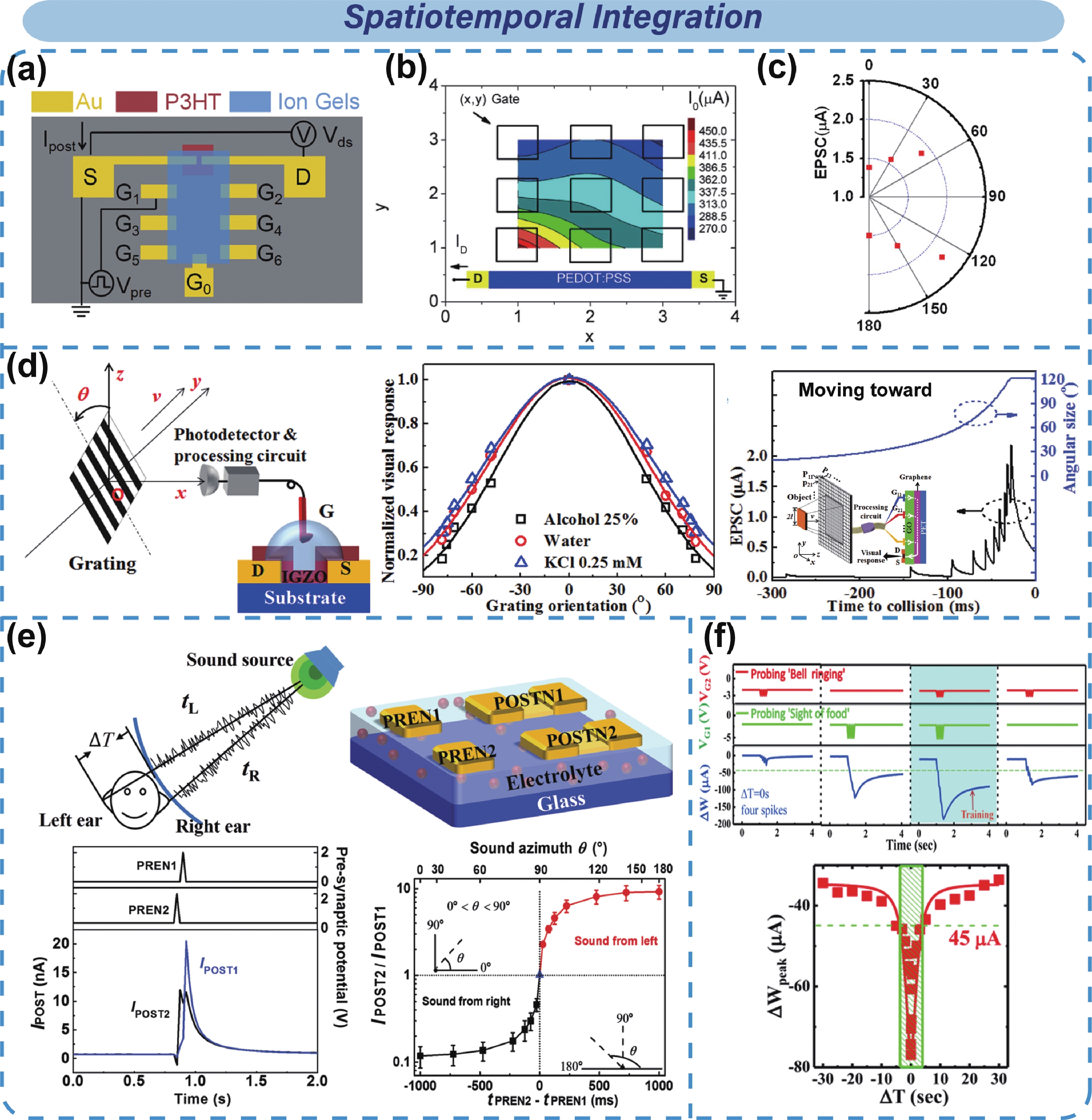 Electrolyte-gated optoelectronic transistors for neuromorphic applications