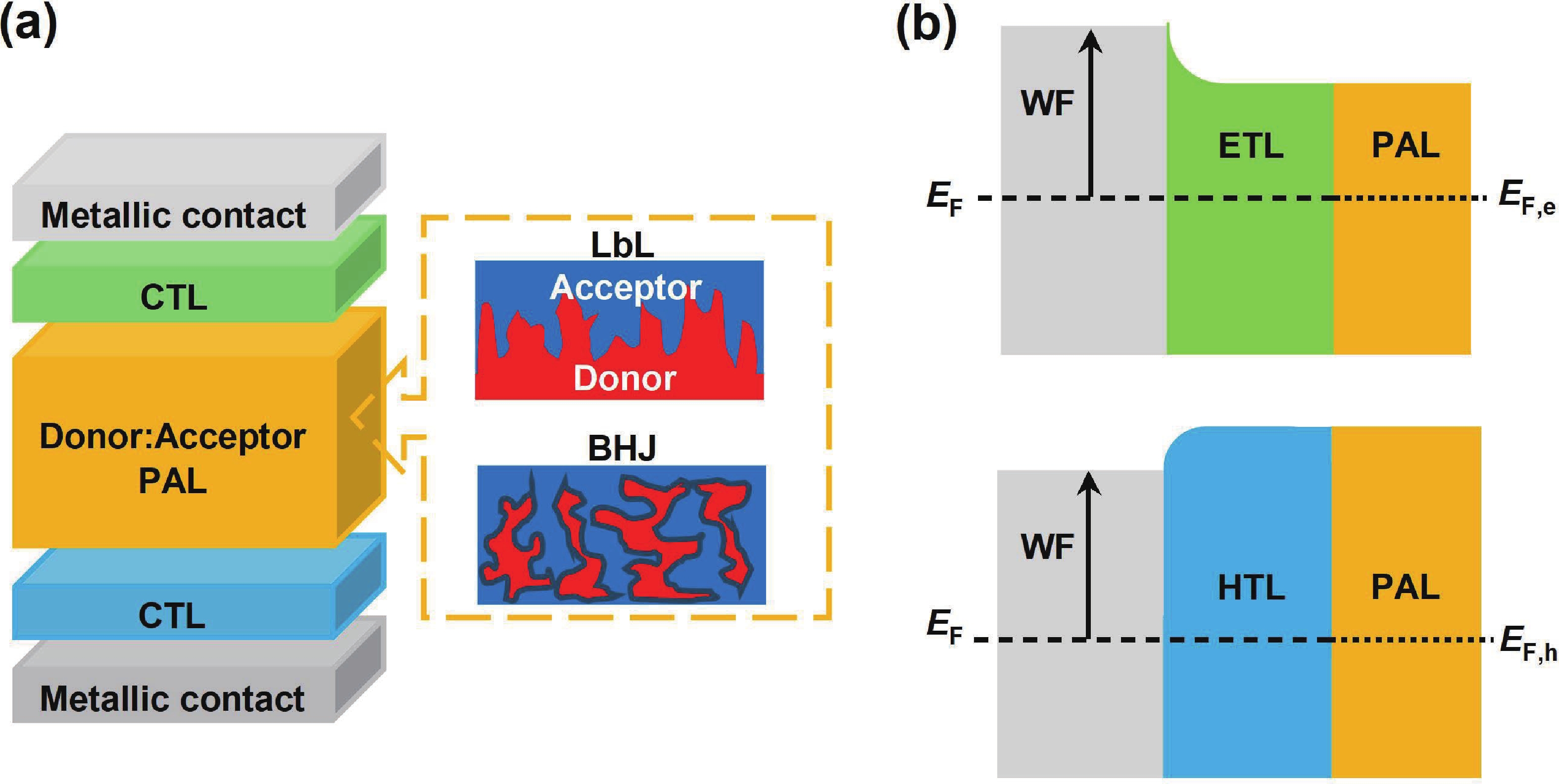 Interface energetics in organic and perovskite semiconductor solar cells
