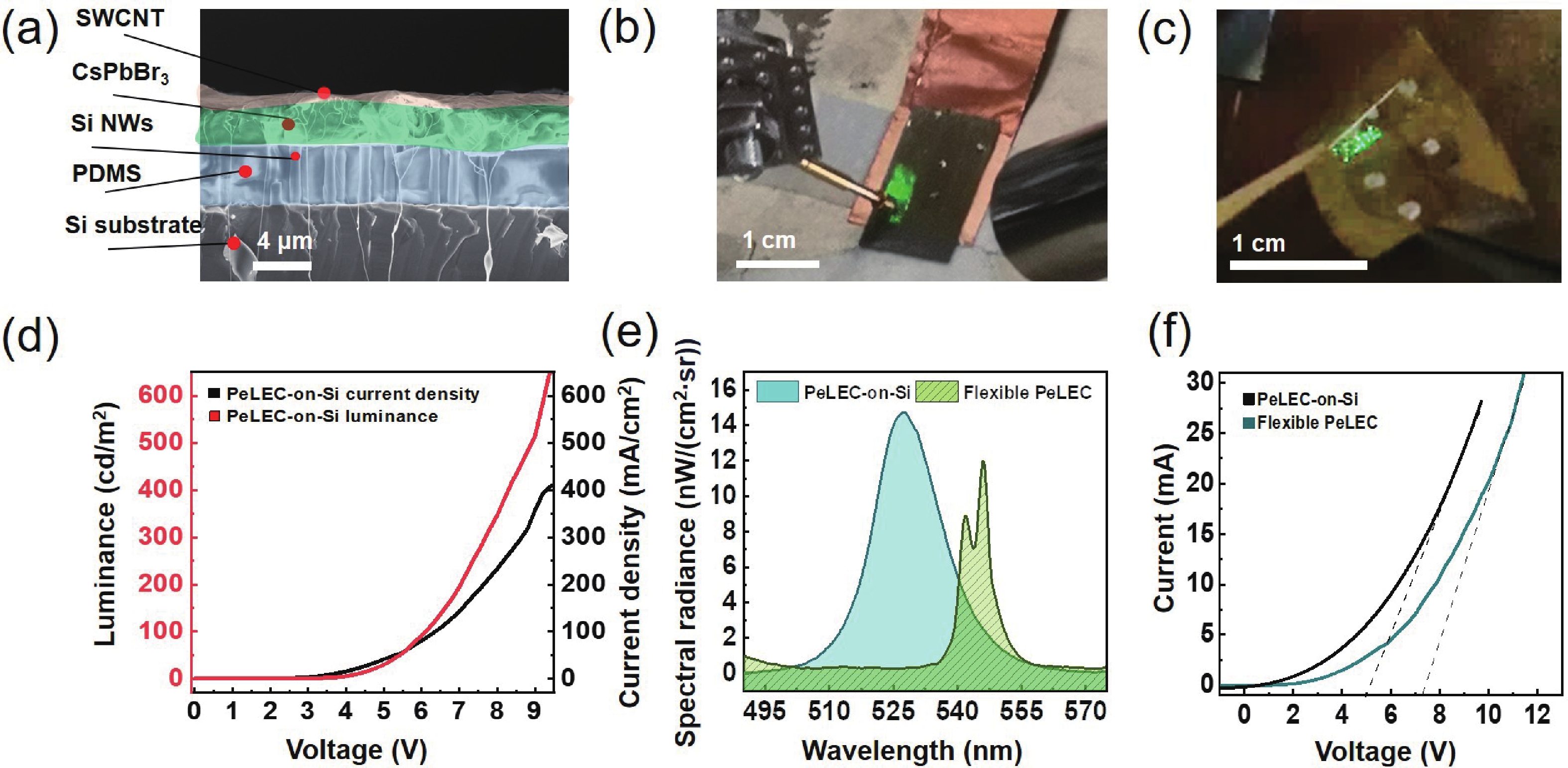 Green perovskite CsPbBr 3 light-emitting electrochemical cells with ...