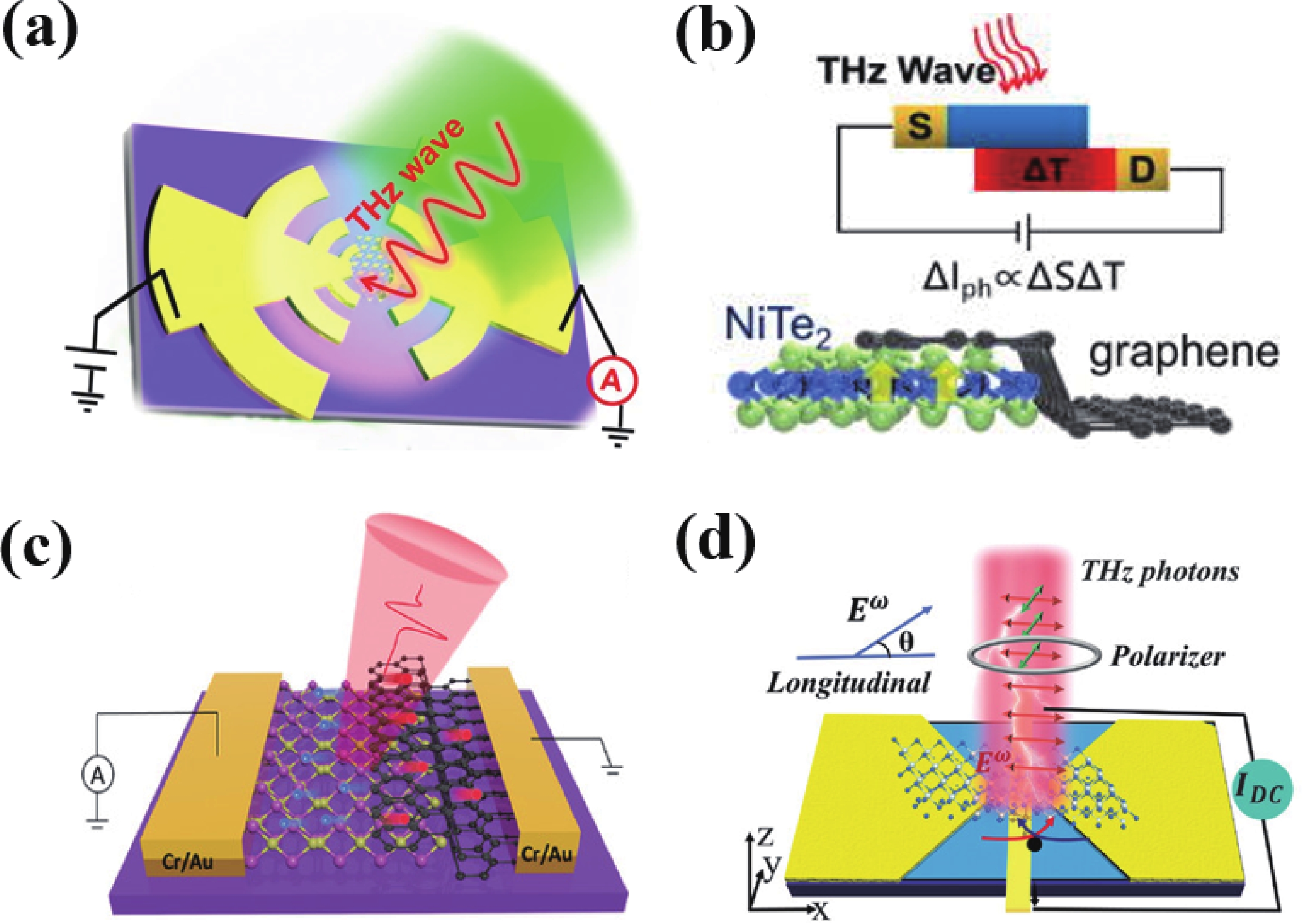 Topological materials-based photodetectors from the infrared to ...