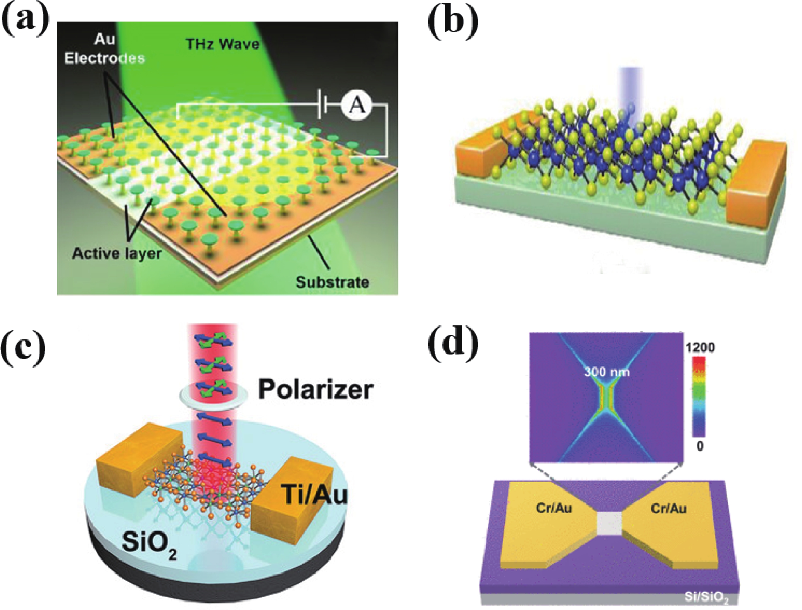 Topological materials-based photodetectors from the infrared to ...
