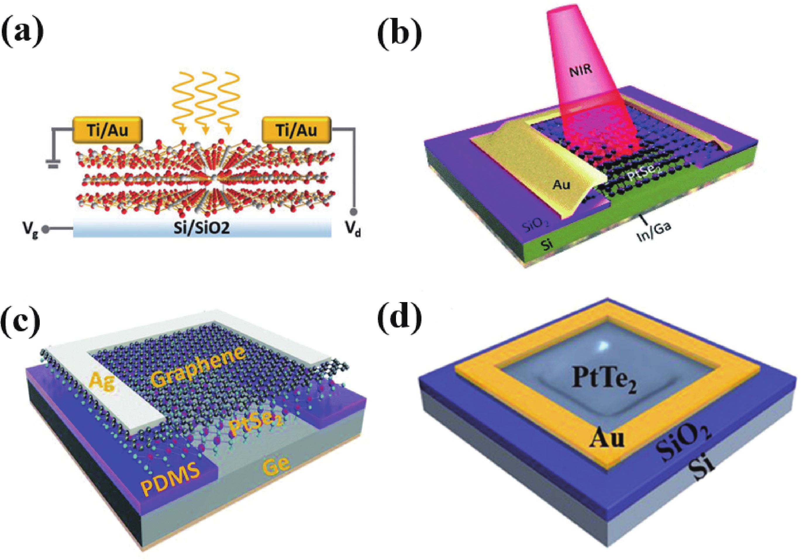 Topological materials-based photodetectors from the infrared to ...