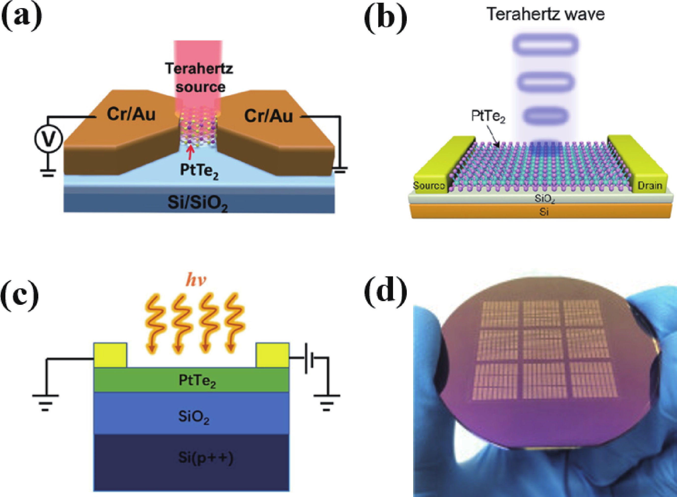Topological materials-based photodetectors from the infrared to ...