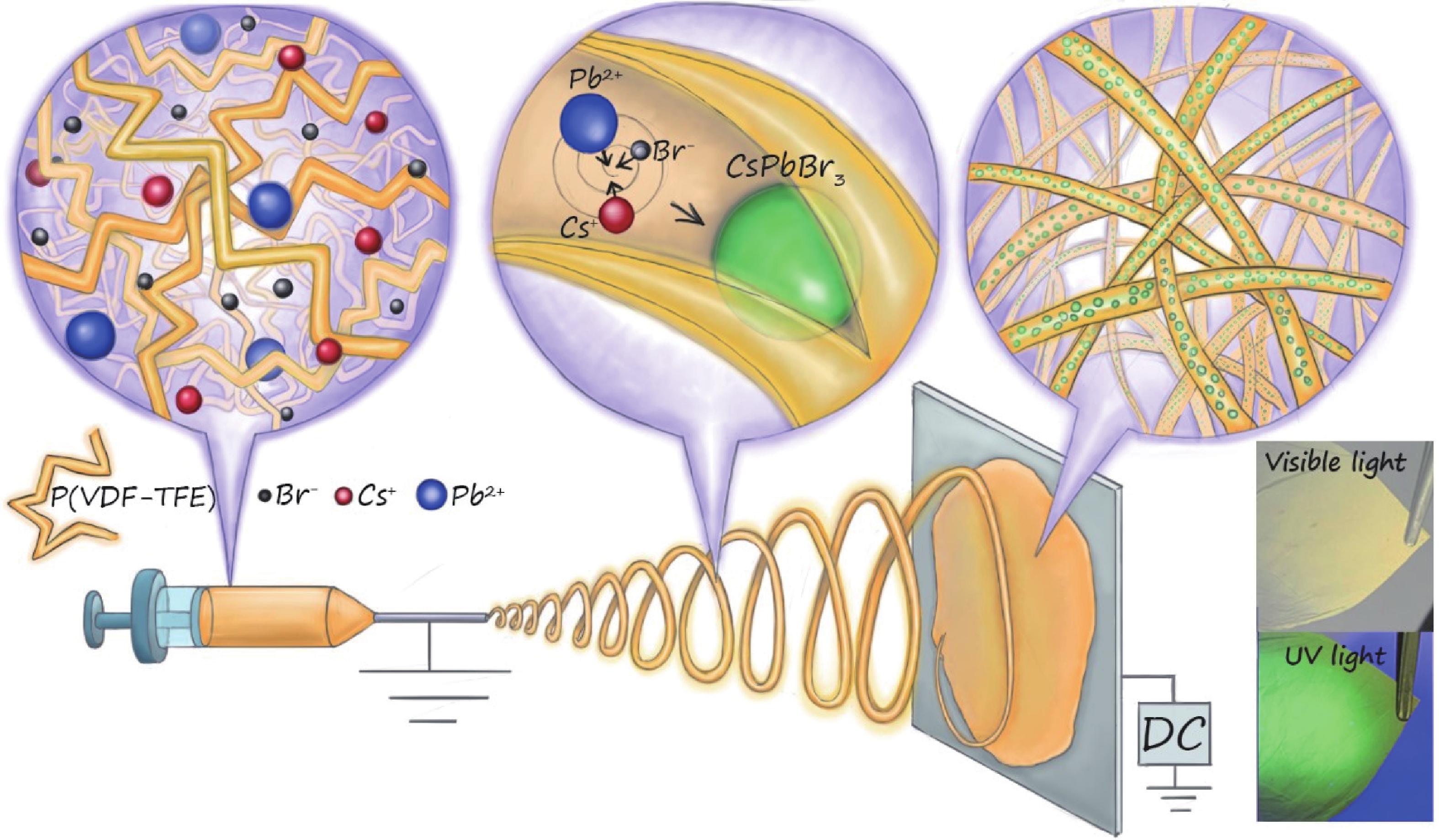 In situ synthesis and stabilization of perovskite quantum dots in ...