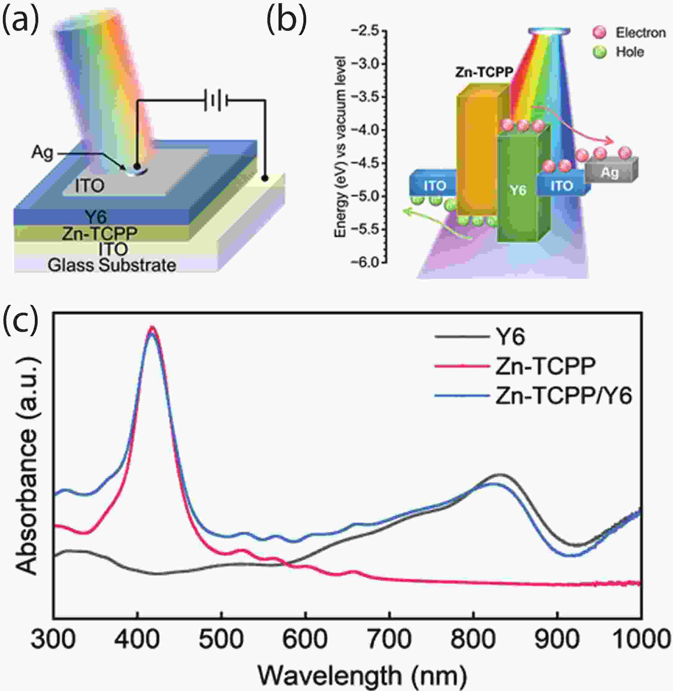Broadband self-powered photodetector enabled by a MOF/organic  heterojunction architecture
