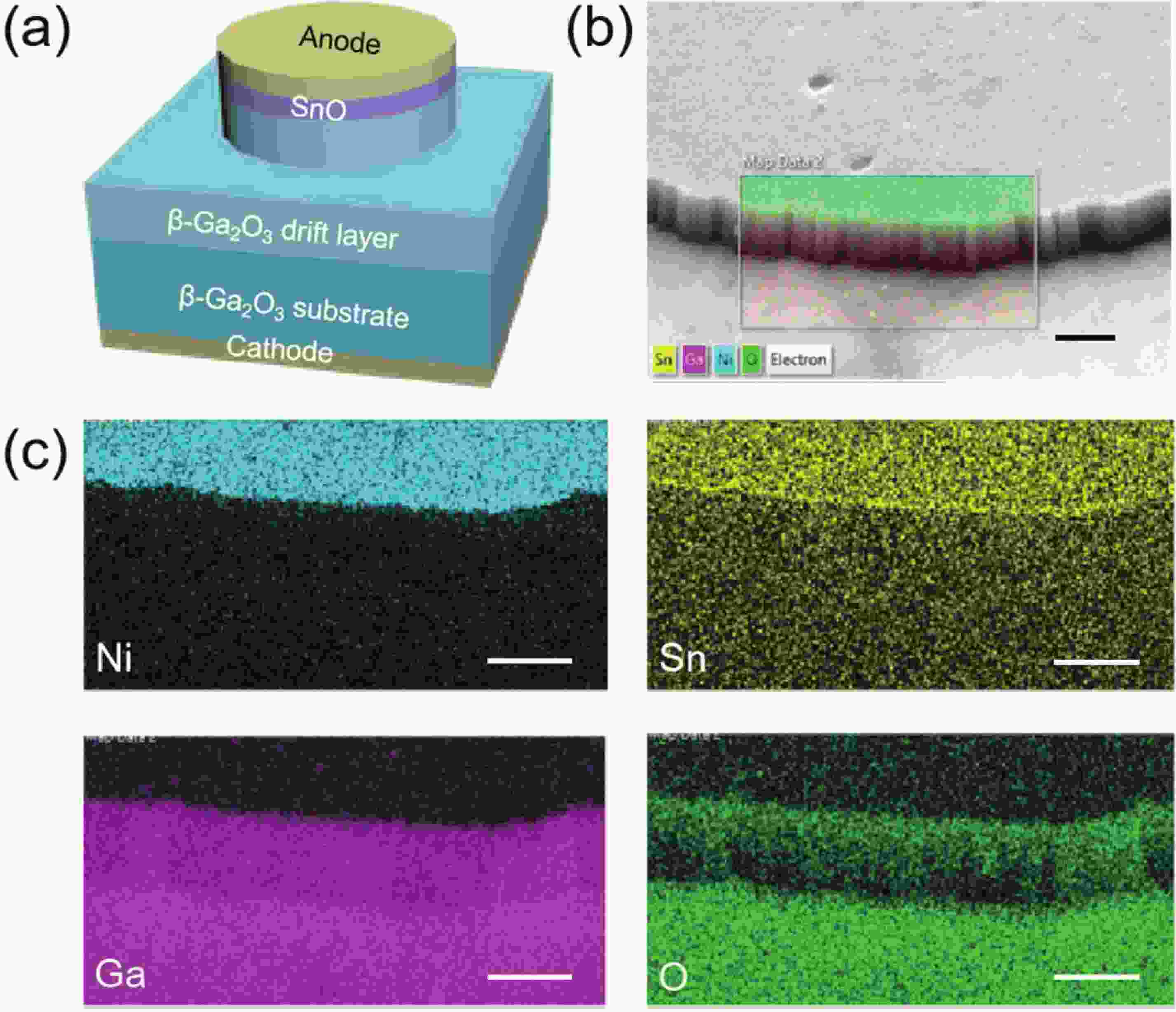 Self-aligned SnO/β-Ga2O3 mesa heterojunction diodes with a PFOM of