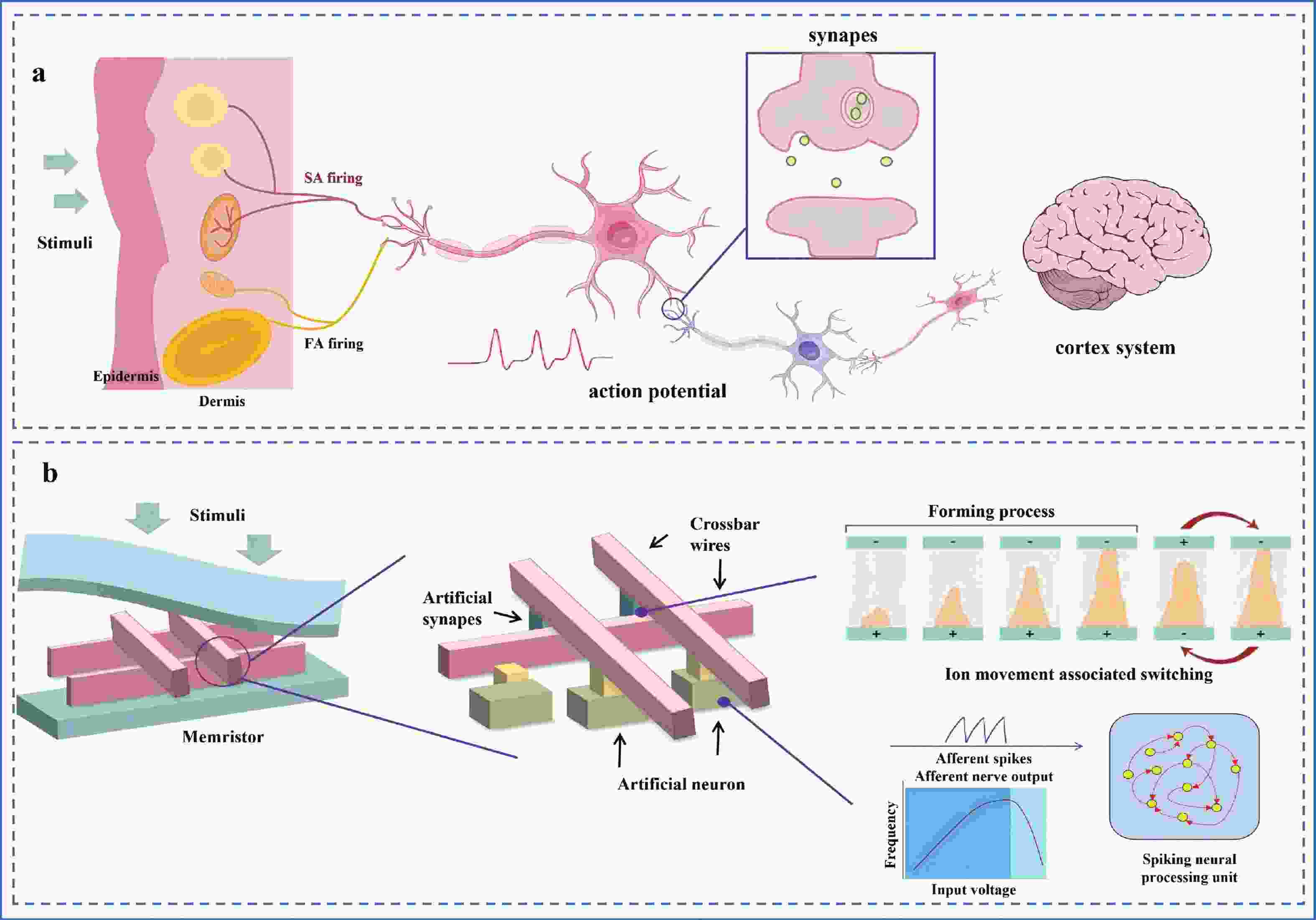Application of memristors for efficient neuromorphic computing in