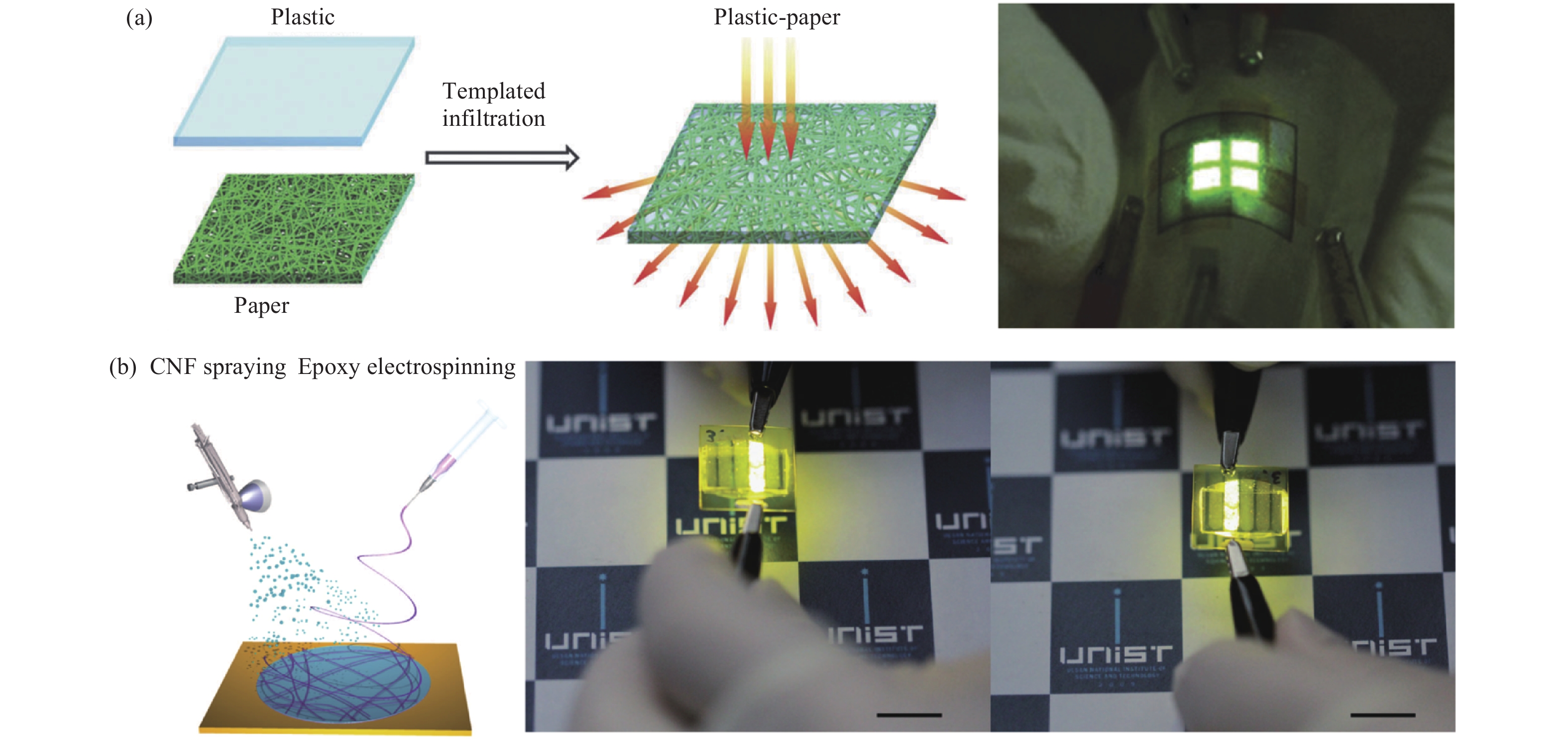 Recent advances in flexible and wearable organic optoelectronic