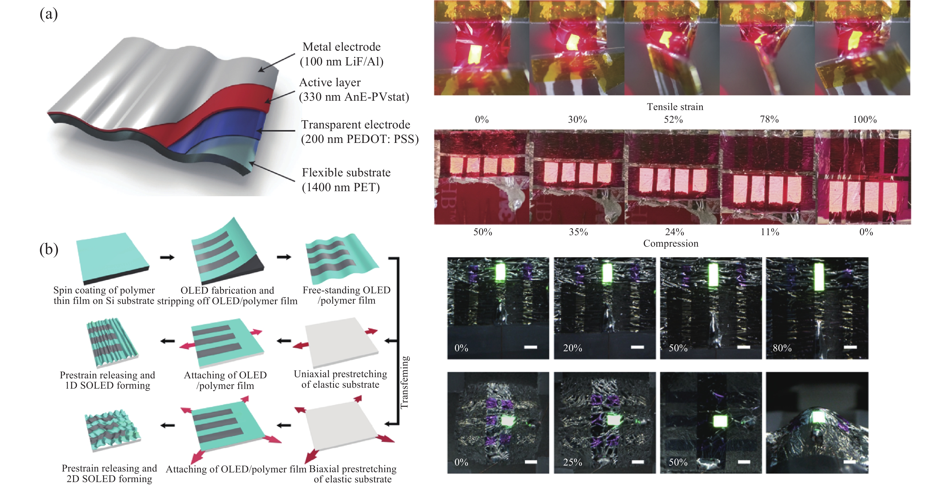 Recent advances in flexible and wearable organic