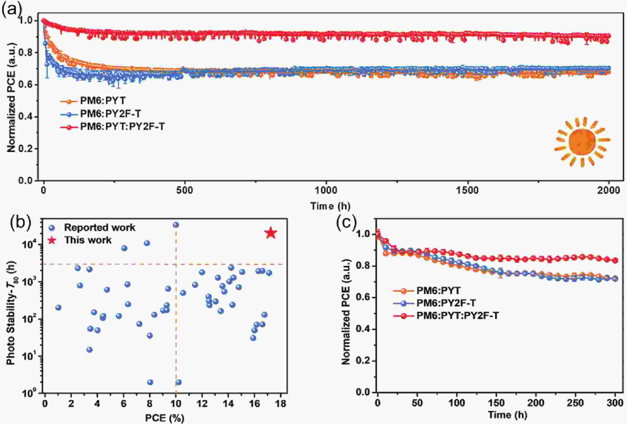 All-polymer solar cells