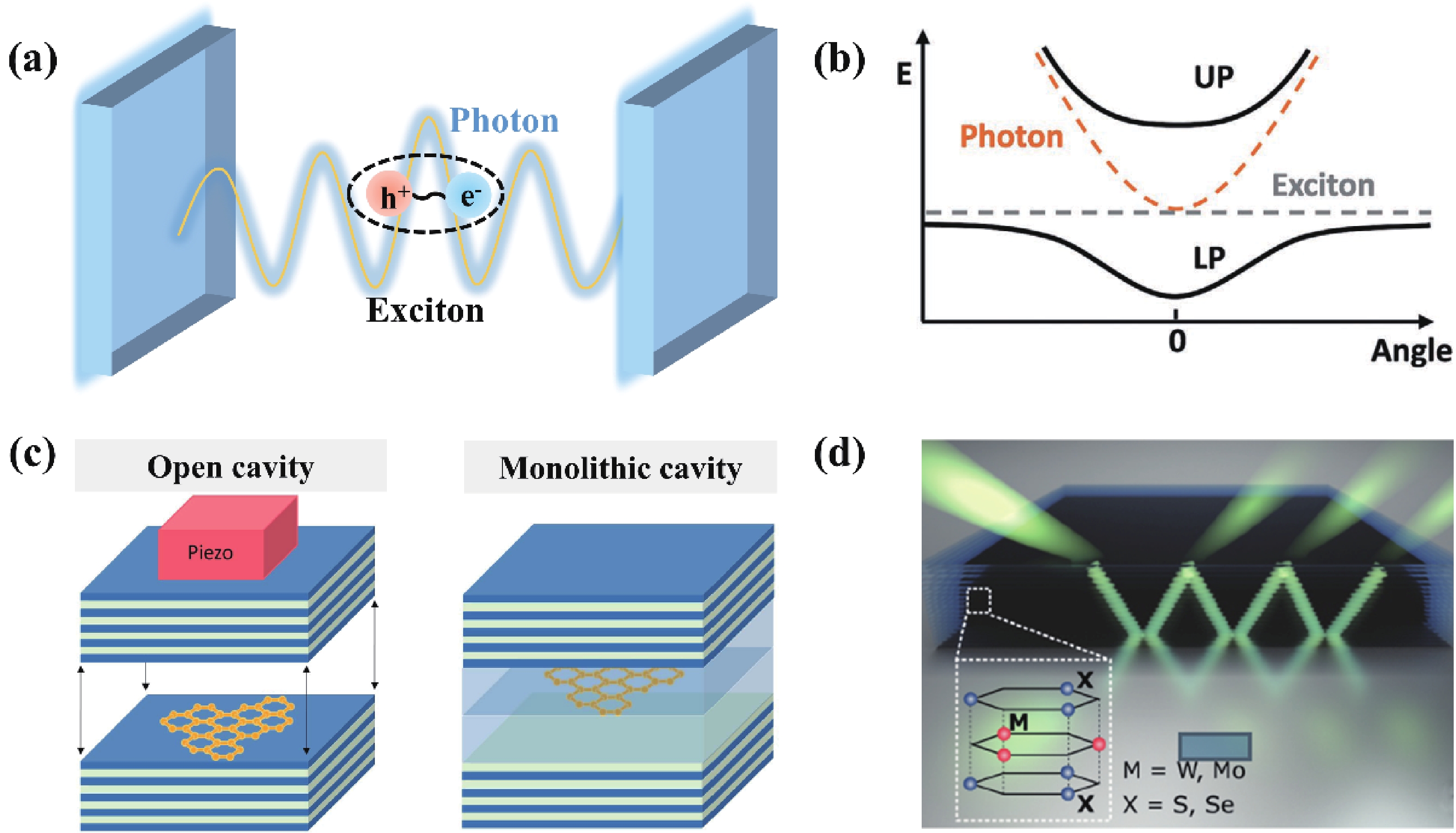 Light-emitting devices based on atomically thin MoSe2