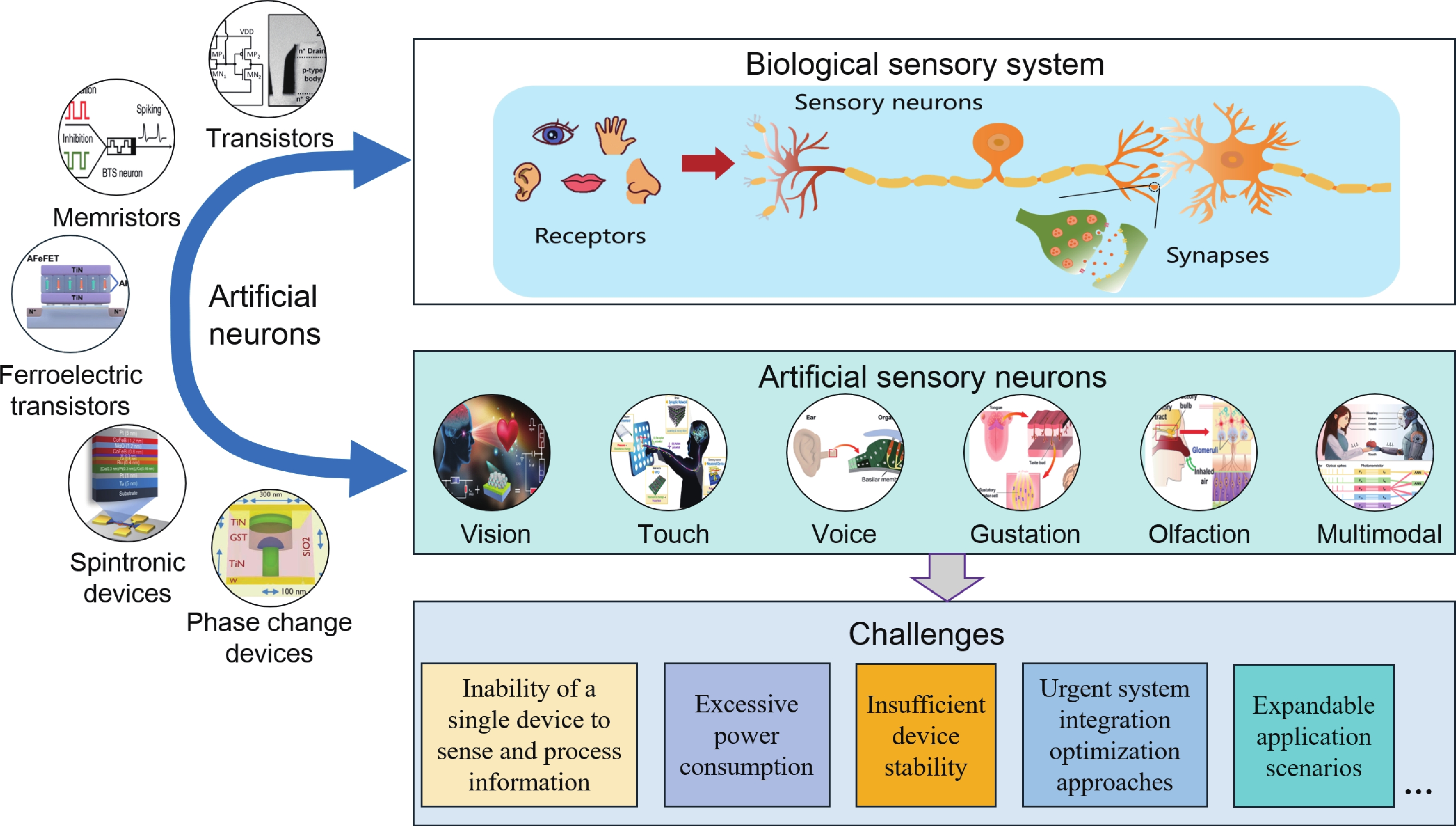 Artificial sensory neurons and their applications