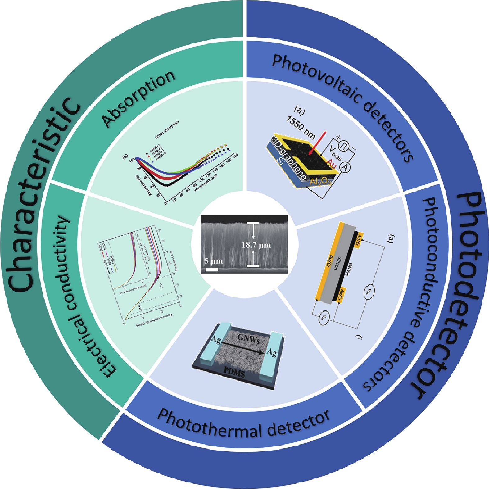LIN様 PRO-CIRCUIT Trigon V3 Buggy C2 (Soft) Pre-Mounted (2 pcs