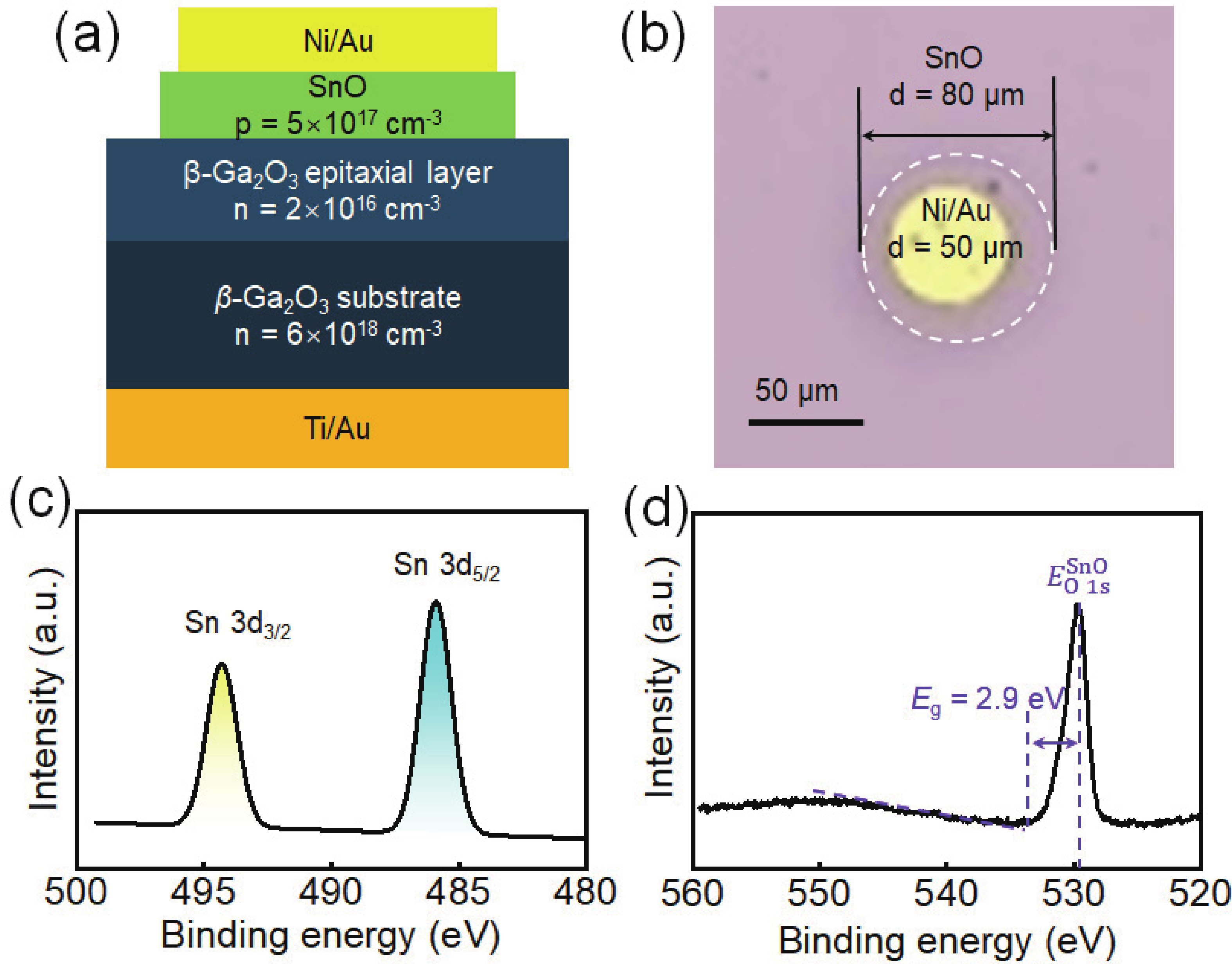 Band alignment of SnO/β-Ga2O3 heterojunction and its
