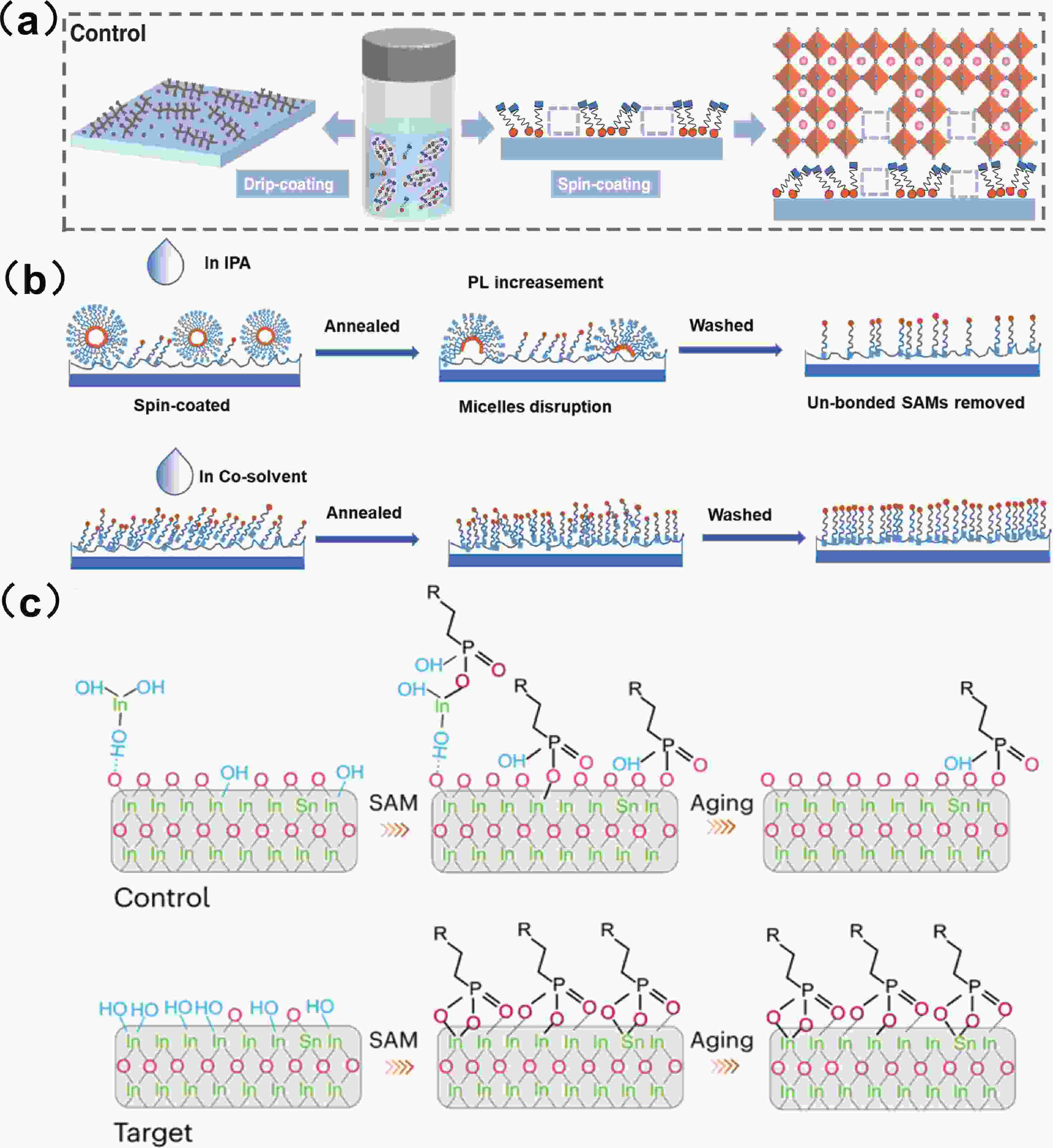 Suppression strategy of self-assembled molecules aggregation for ...